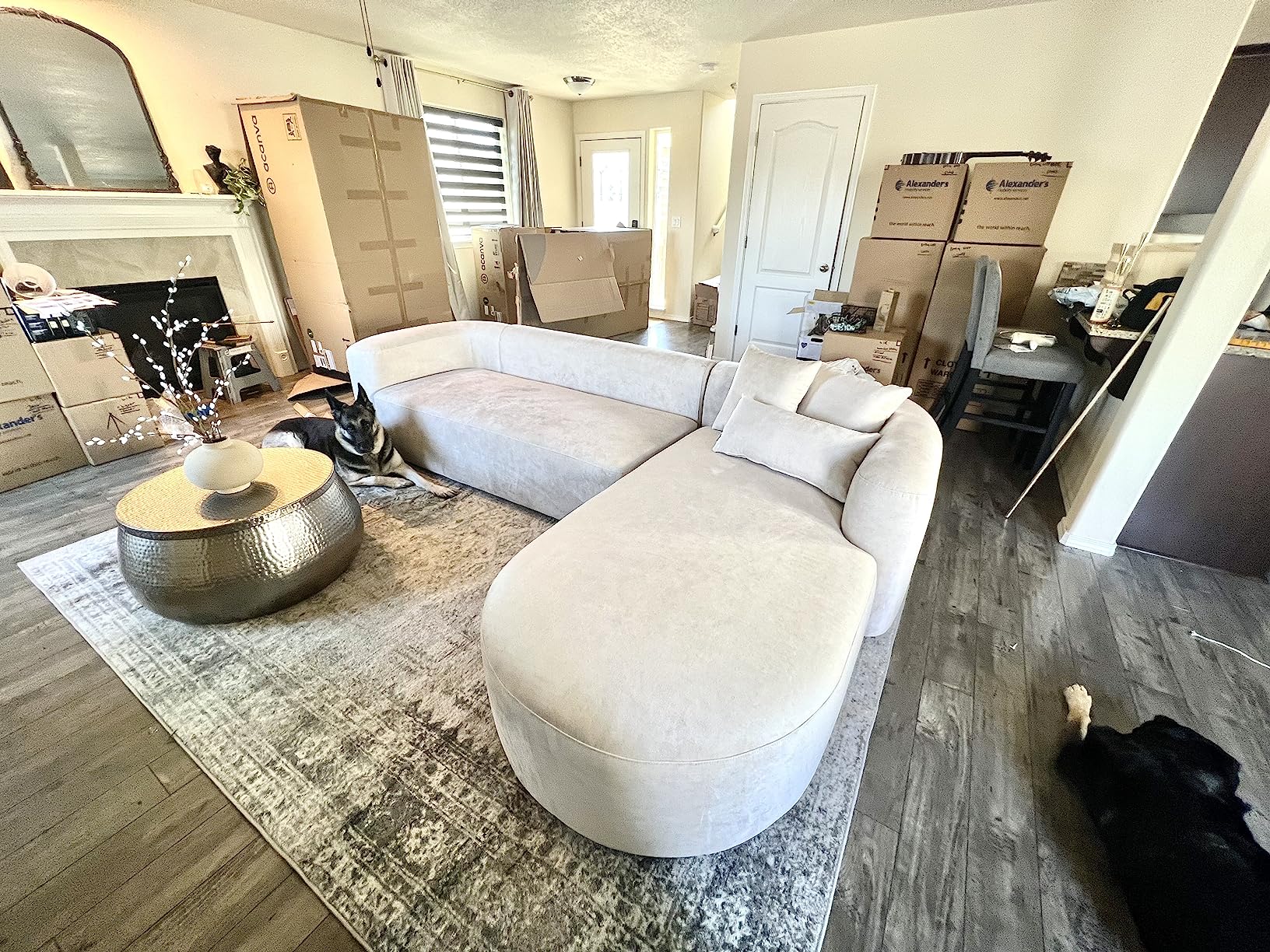 105/mo Finance Acanva Luxury Modern Tight Curved Back Velvet Sofa, Minimalist Style Comfy