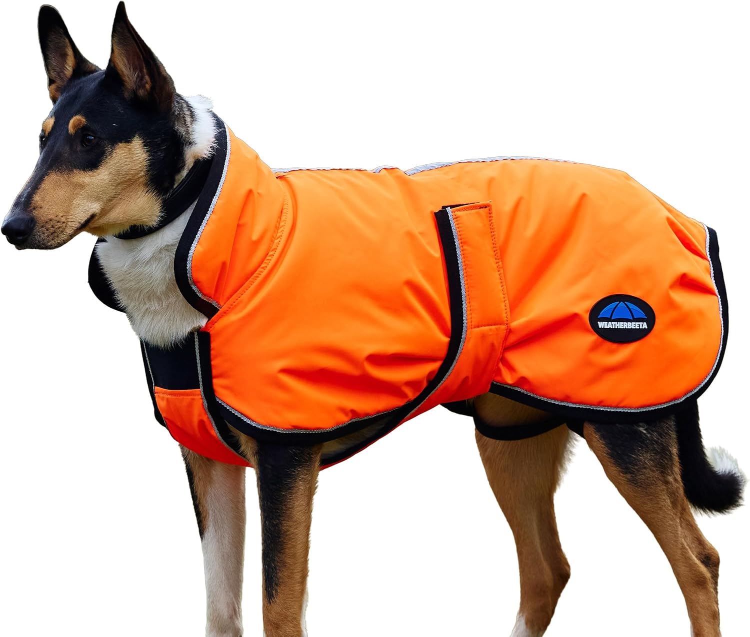 WeatherBeeta ComFiTec Reflective 300D Deluxe Showerproof Dog Coat, Orange, 14"