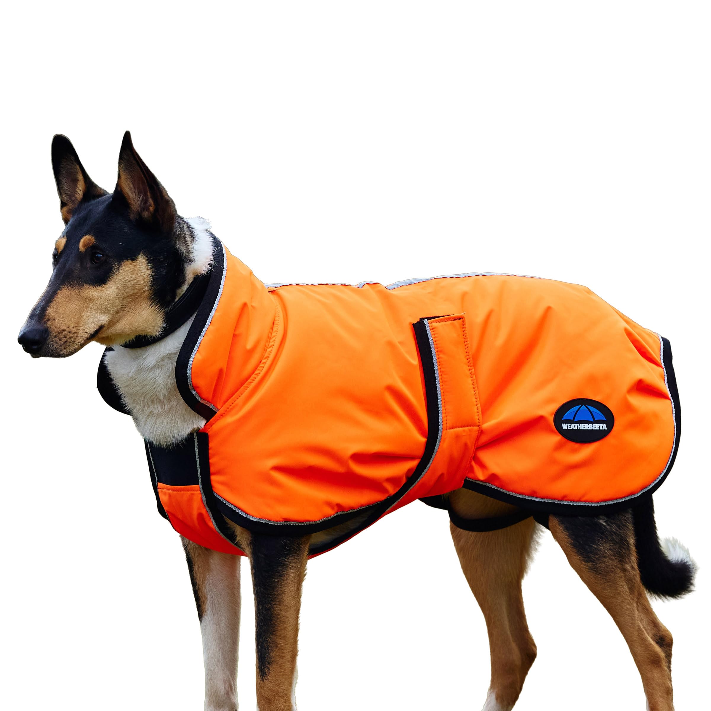 Weatherbeeta 2025 Comfitec Reflektierend 300D Deluxe Spritzwasserdicht Hund Mantel 1029050 - Orange