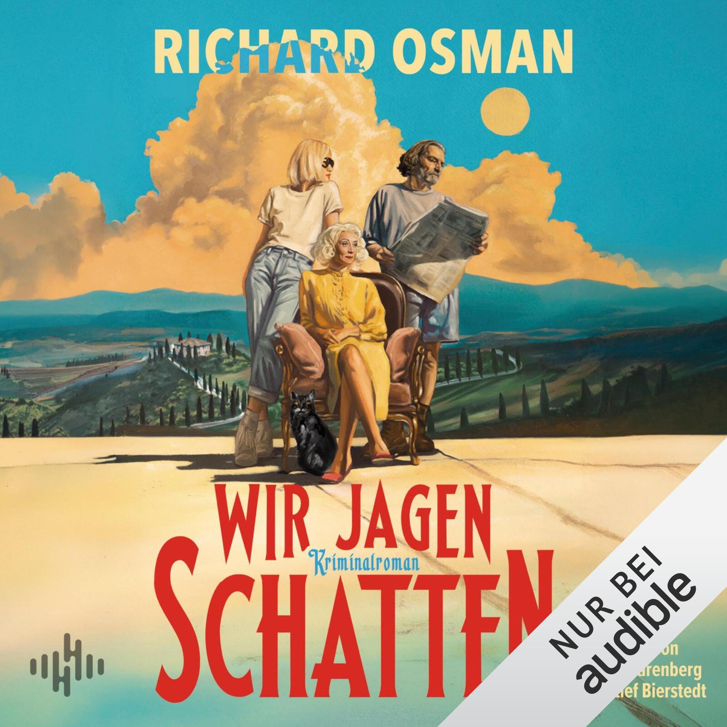 Cover art for Wir jagen Schatten (Wir finden Mörder-Serie 2)