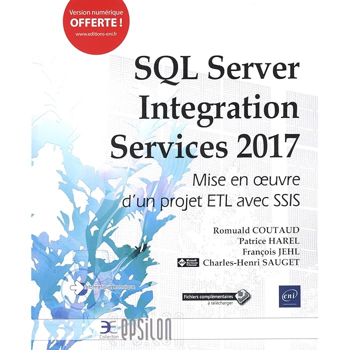 Buy SQL Server Integration Services 2017 - Mise en oeuvre d'un projet ...