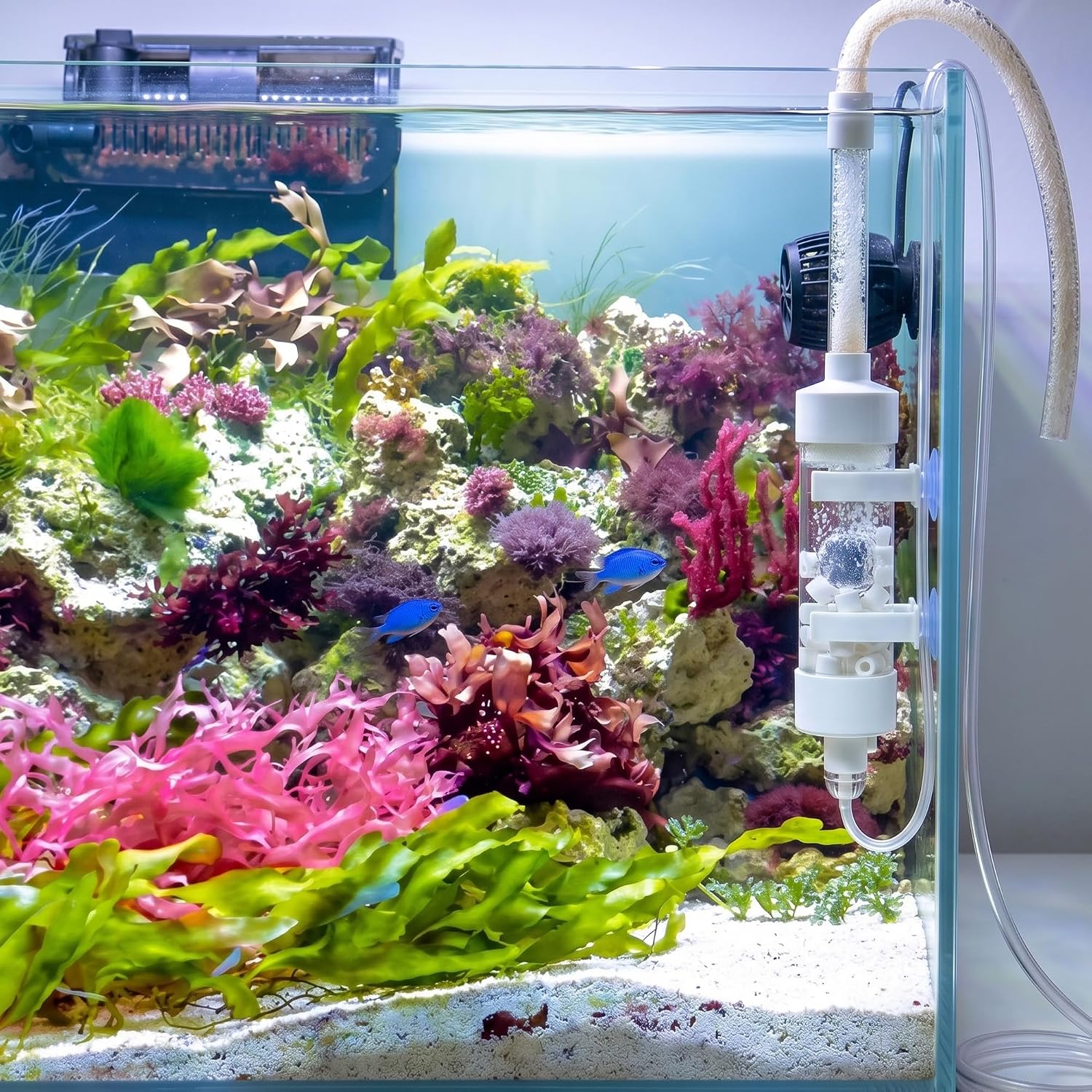Aquariums Compact Protein Skimmer & Fluidized Bed Filter, Air-Driven Moving Bed Filter with YL-08 Media, 3-in-1 Water Clarifier, Waste Separator & Oxygenator for Nano Fish Tanks (Air Pump Required) | 3-in-1 Water Purifier, Waste Separator & Oxygenator