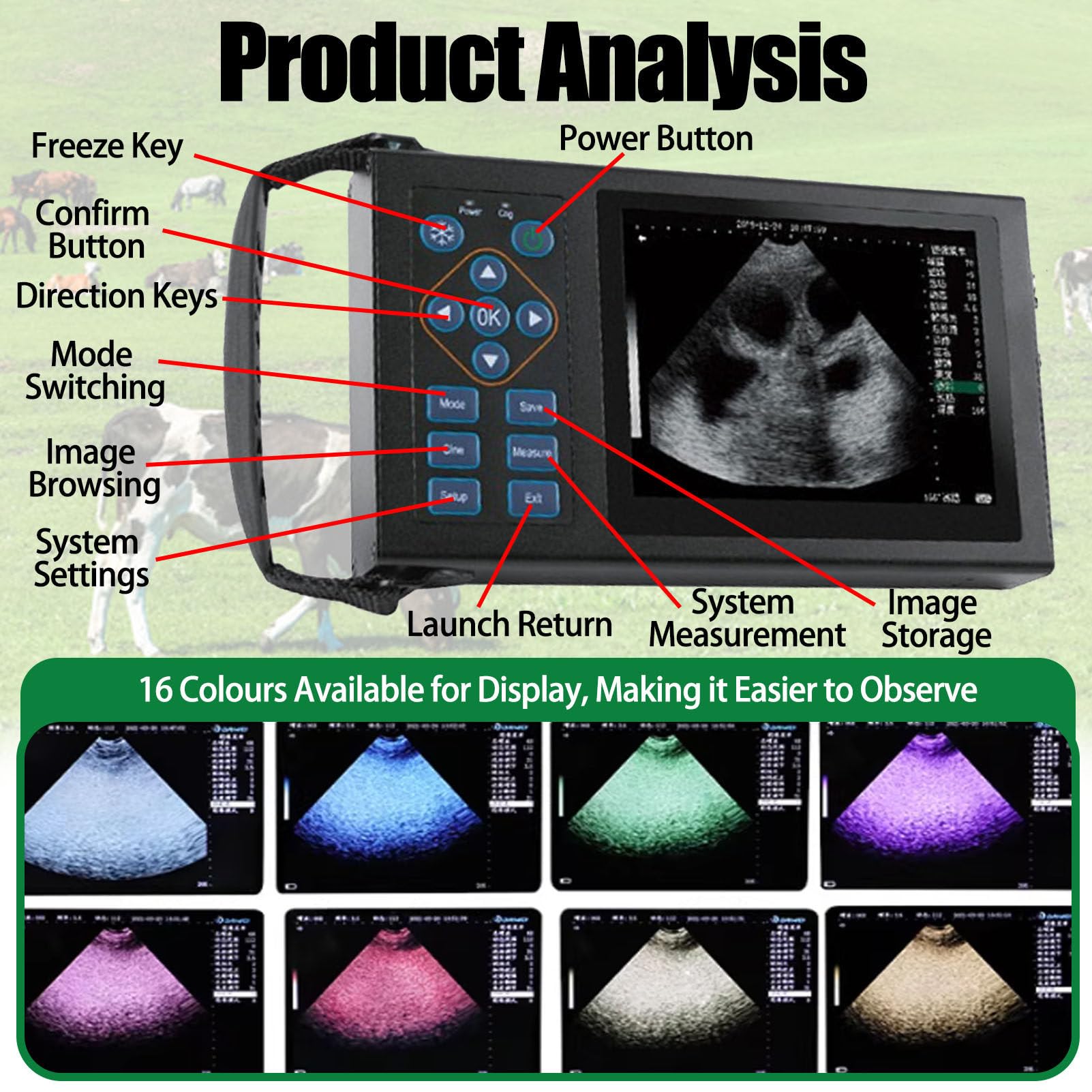 Analizzatore veterinario di ultrasuono con la sonda 3.5/6.5MHz per la diagnostica dell'animale domestico e del bestiame, portatile e facile da usare per l'imaging veterinario accurato