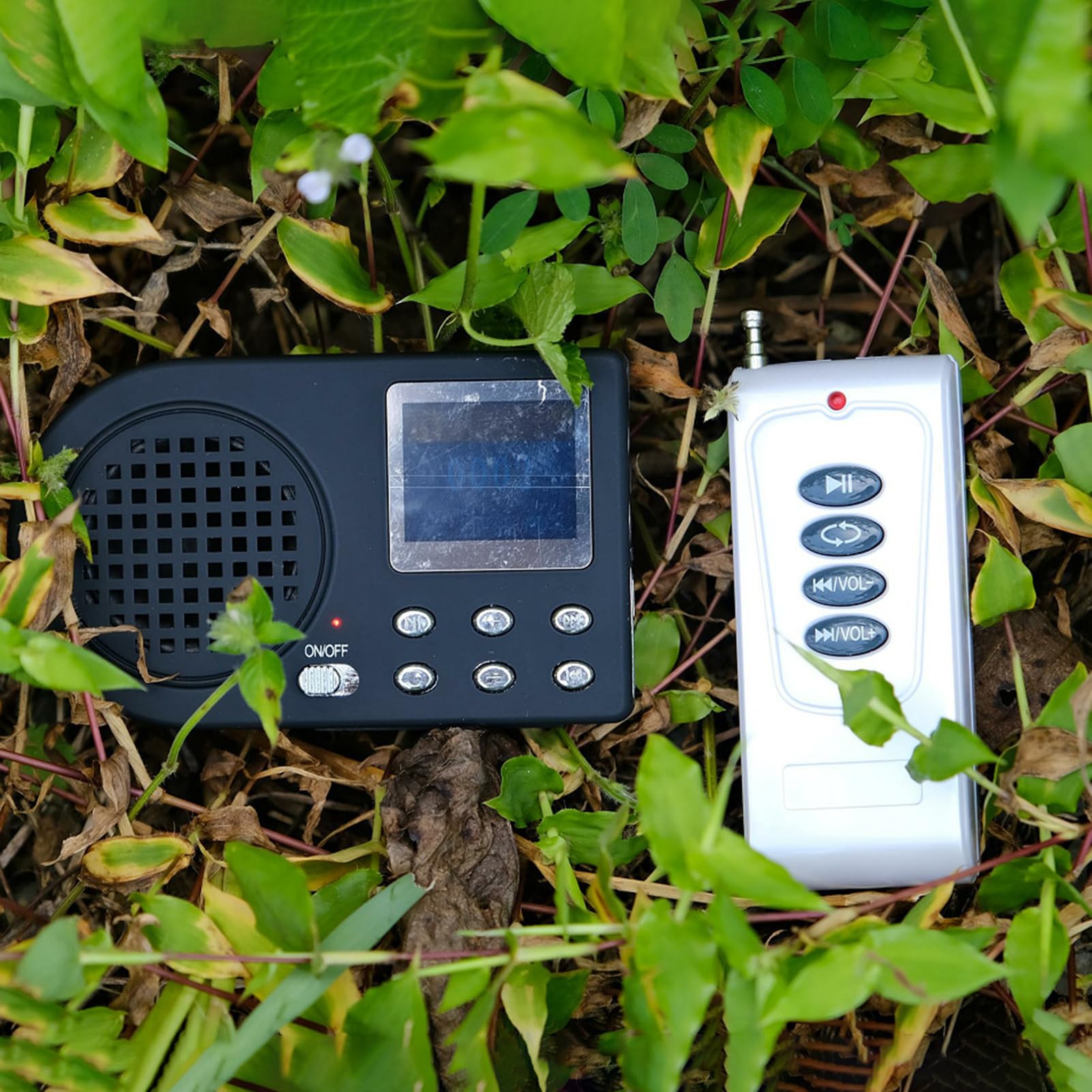 Buachois Cinguettatore del suono, amplificatore cinguettante per uccelli all'aperto con altoparlante mp3 con remoto wireless 110 suoni mp3 (Con telecomando)