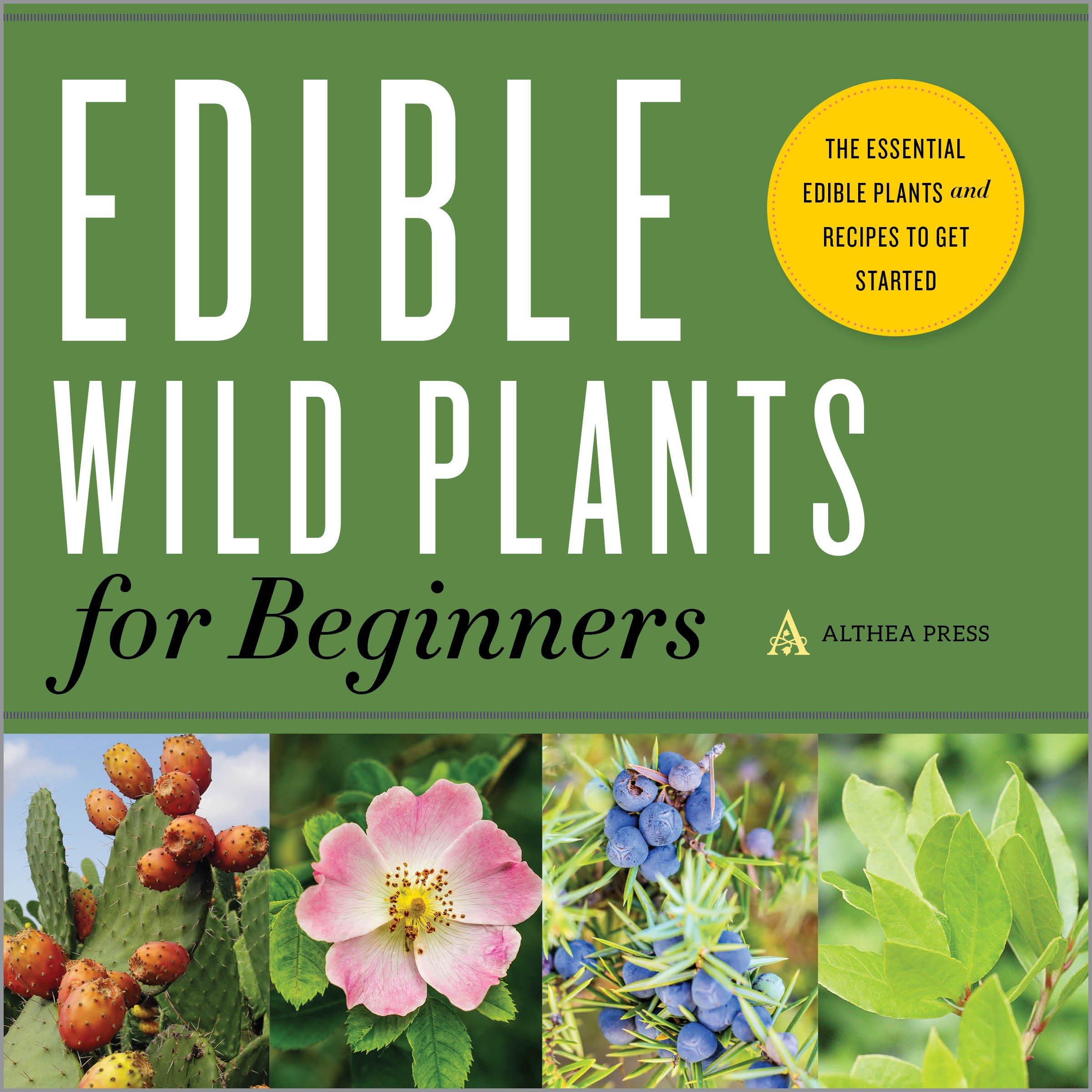 Edible Wild Plants for Beginners