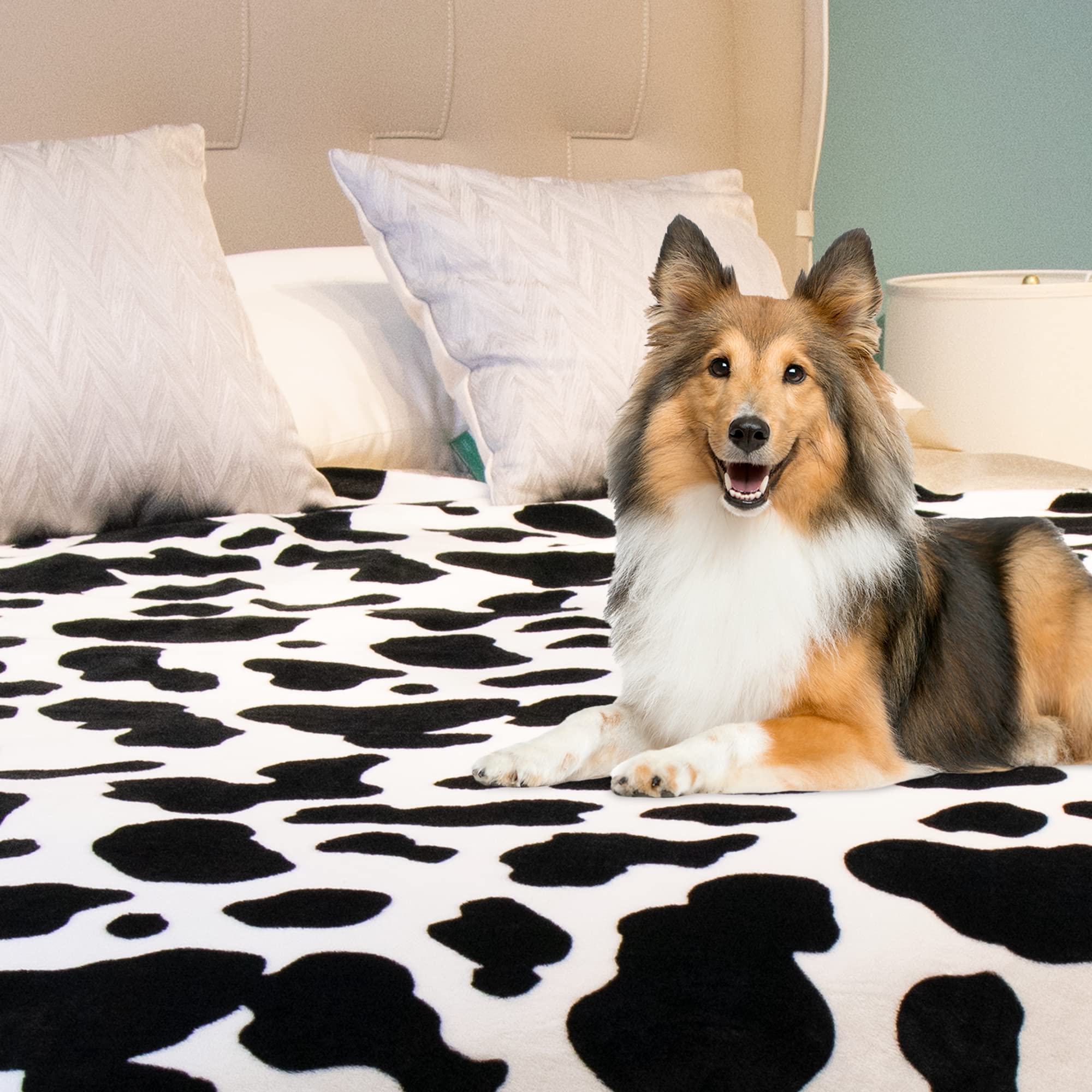 Flannel Blankets Border Collie Fleece KLL Cloud Border Collie