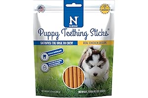Teething Troubles? N-Bone Puppy Teething Treats to the Rescue!