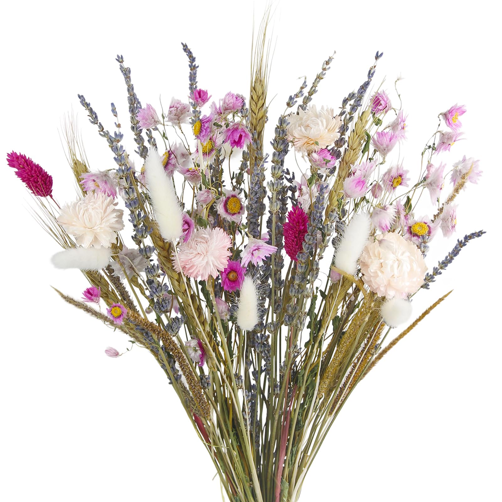 ACRYCS Dried Flowers Bouquet Dried Daisy Flower Natural - dried and preserved flora | Mubboo