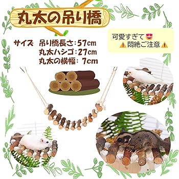 モモンガ　ゲージ　小動物　フクロウモモンガ 615hiONQNFL._AC_UL210_SR210,