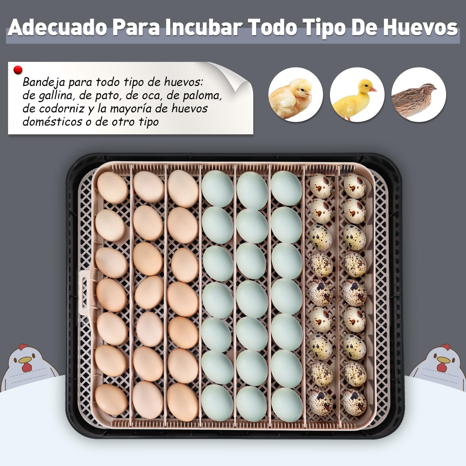 Sailnovo Incubadora de Huevos Automaticas, Incubadora de 56 Huevos con Volteo Automático de Huevos y Humidificación automática, Incubadora para Huevos de Gallina, Codorniz, Pato, Gris