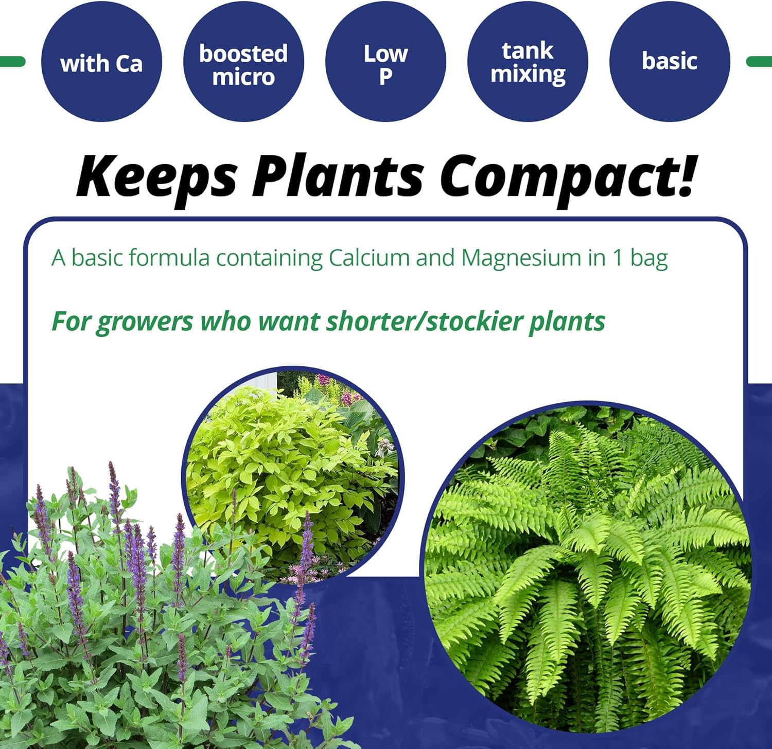 Jack's Professional 15-5-15 CA-MG LX Comprehensive Water-Soluble Fertilizer for Growth in Short, Stocky Plants Grown in Continuous Liquid Feed Programs, 25lbs