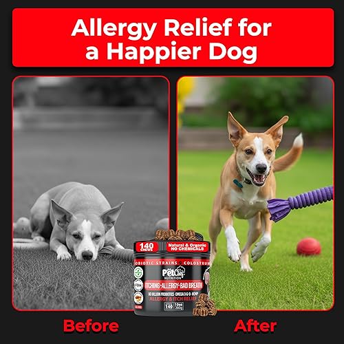 Miniatura 6 de Pet Chef Dog Allergy Chews - 140 masticables suaves con aceite de salmón, omega 3 y probióticos, suplemento natural para aliviar la picazón, apoyo