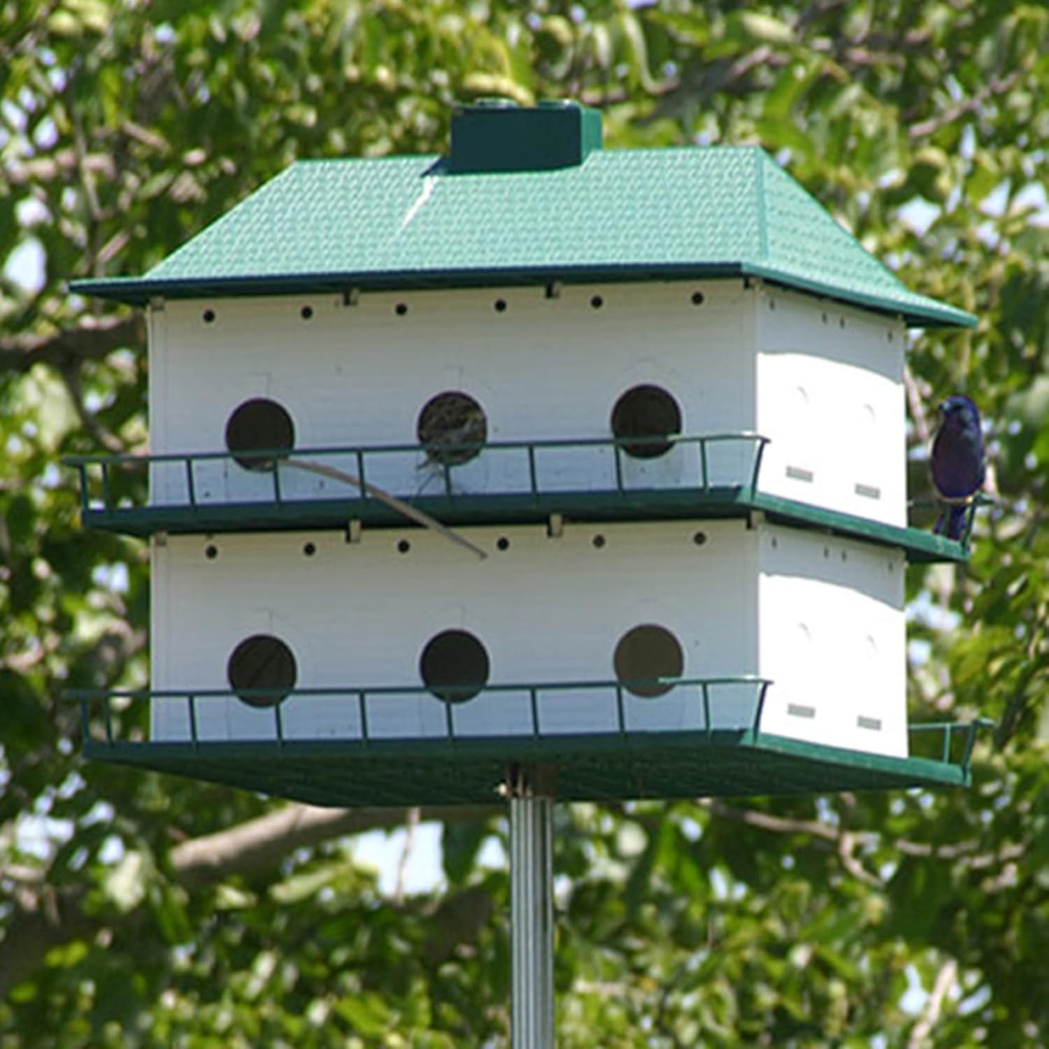 Heath Outdoor Products PH12 Plastic 12 Room Purple Martin House