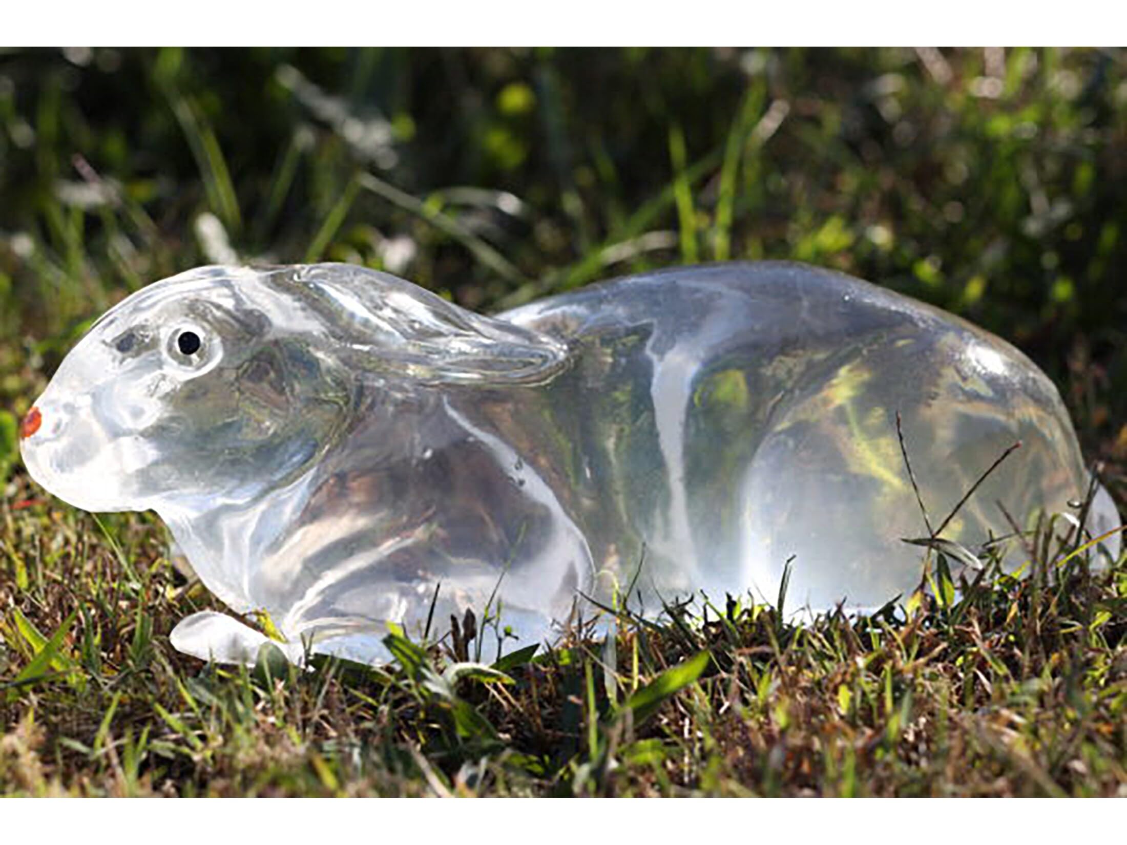 Amazon.co.jp: クリア弾道弾道ジェル3Dウサギターゲット。 : おもちゃ