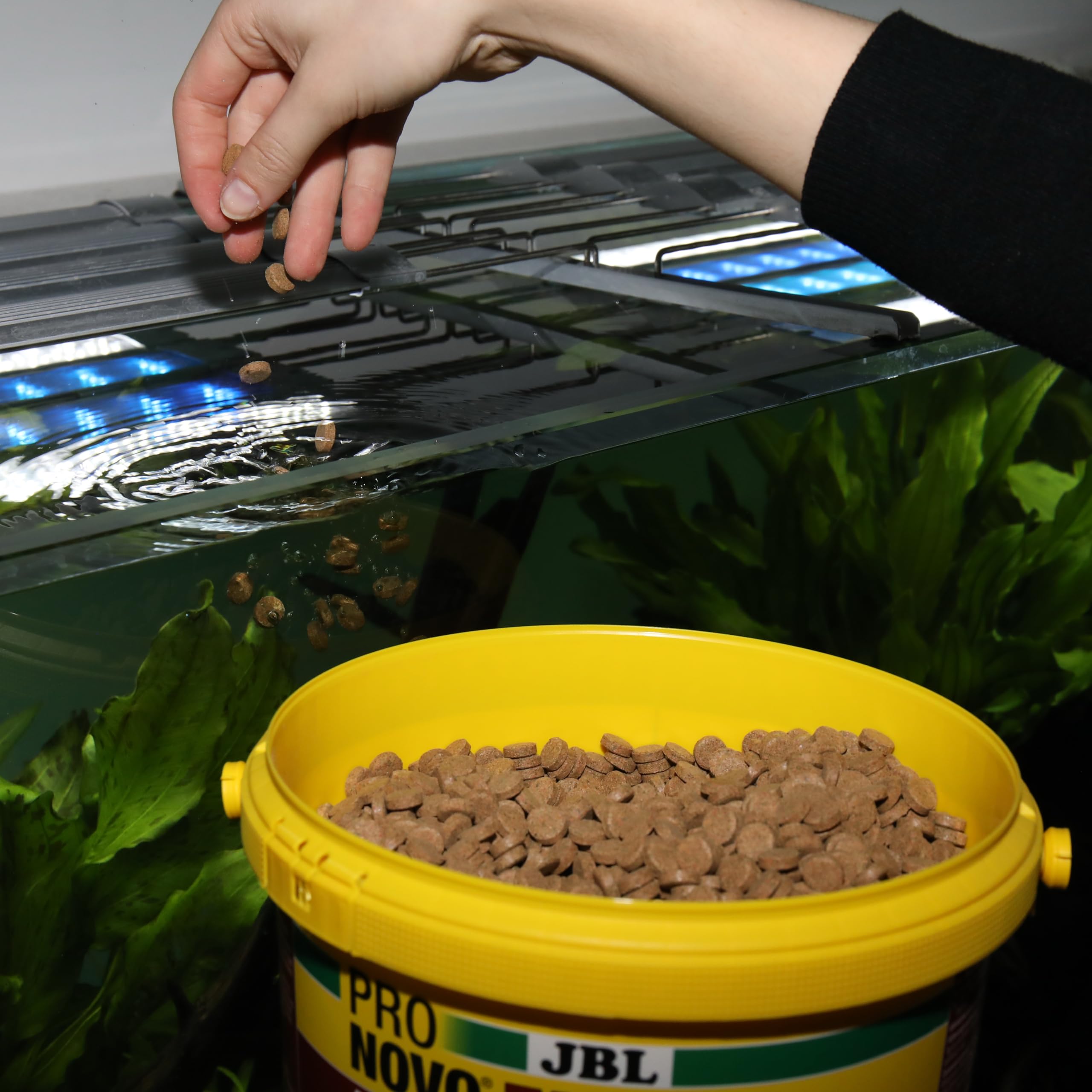 JBL PRONOVO TAB, Futter für alle Aquarienfische von 1-20 cm, Fischfutter-Tabletten, Größe M, 5,5 l