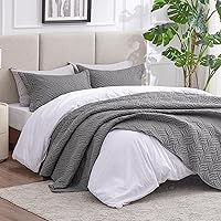 Vista 116 de Love's cabin - Juego de edredón tamaño King, color marrón, colcha de verano, microfibra ligera, estilo moderno de monedas, para todas