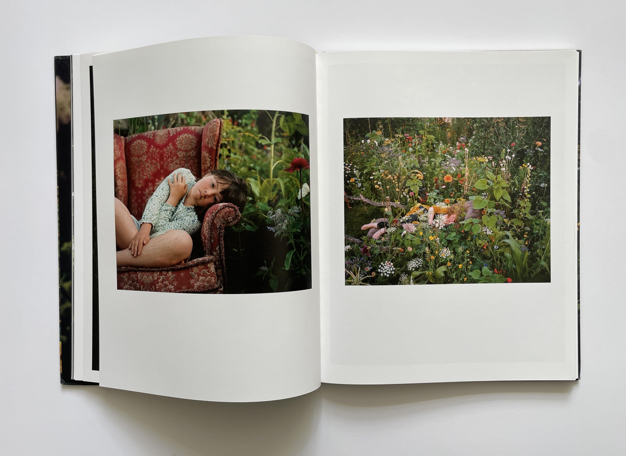 SiAn Davey: The Garden /anglais