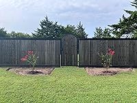 Review Image by Marisol Lopez Marisol Lopez