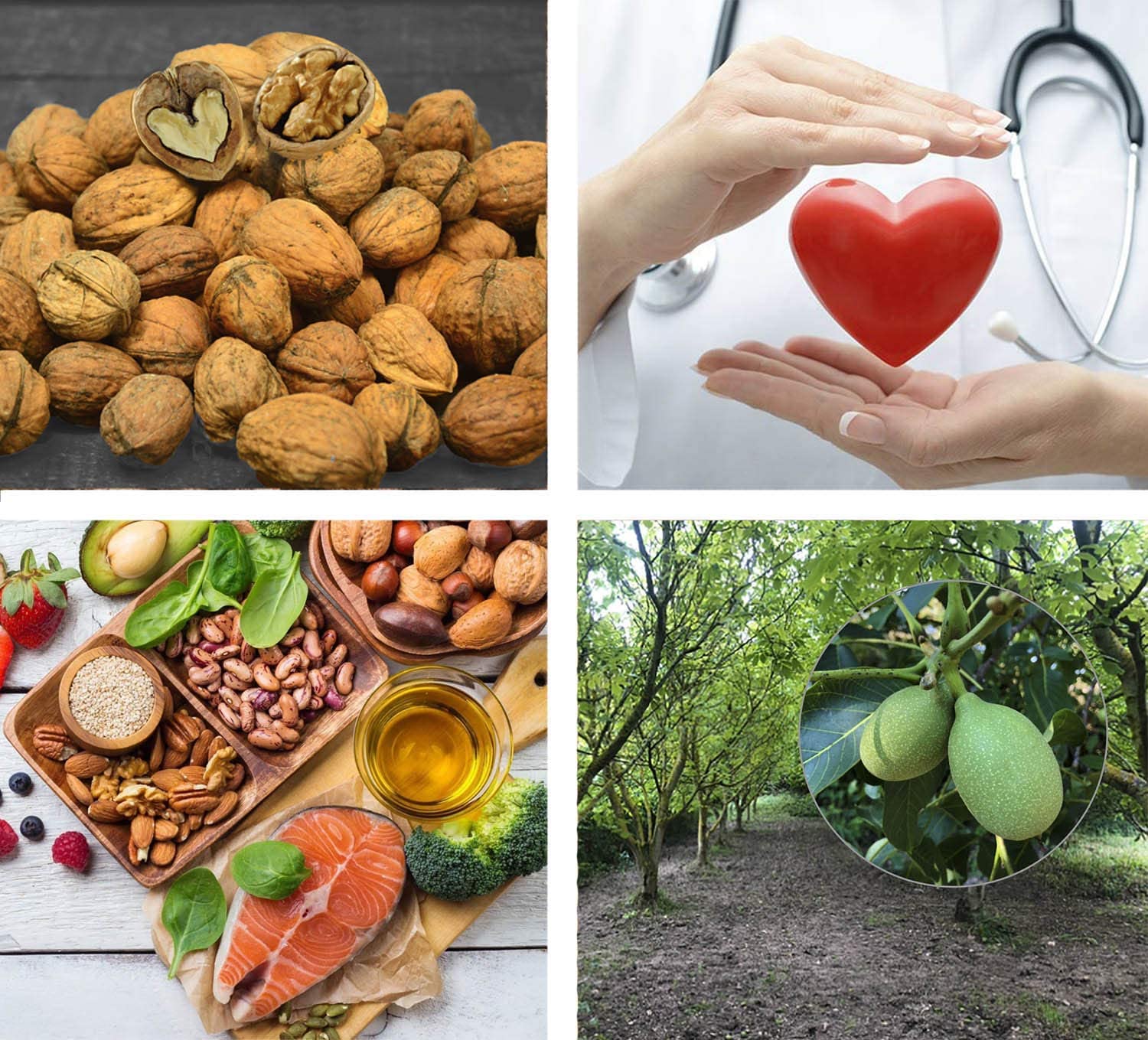 Nueces de España Naturales con cascara Frescas, cosecha del 2024 LIMITADA, bolsa de 3 kg.