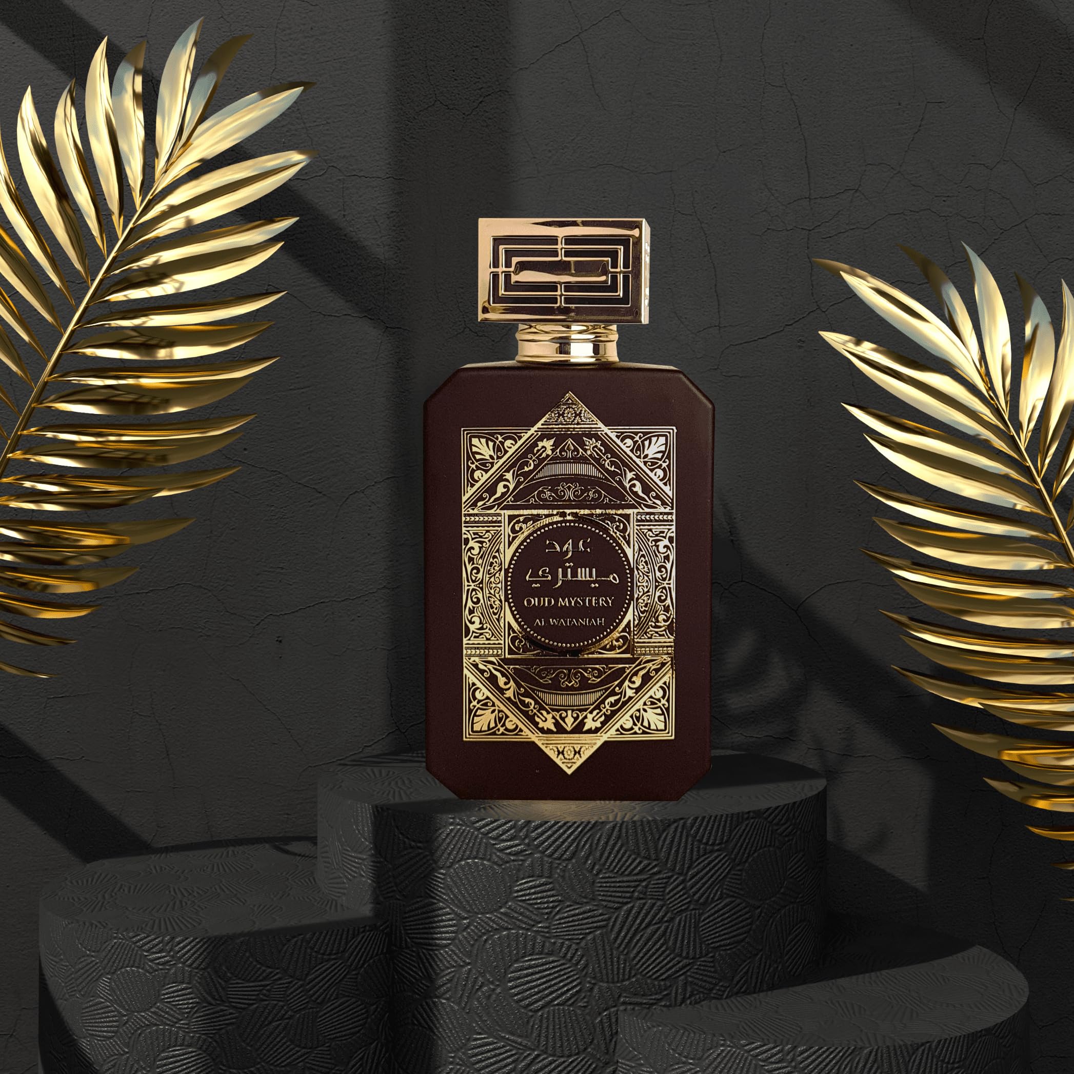 Oud Mystery, Eau de Perfume Al Wataniah, para hombre, 100 ml