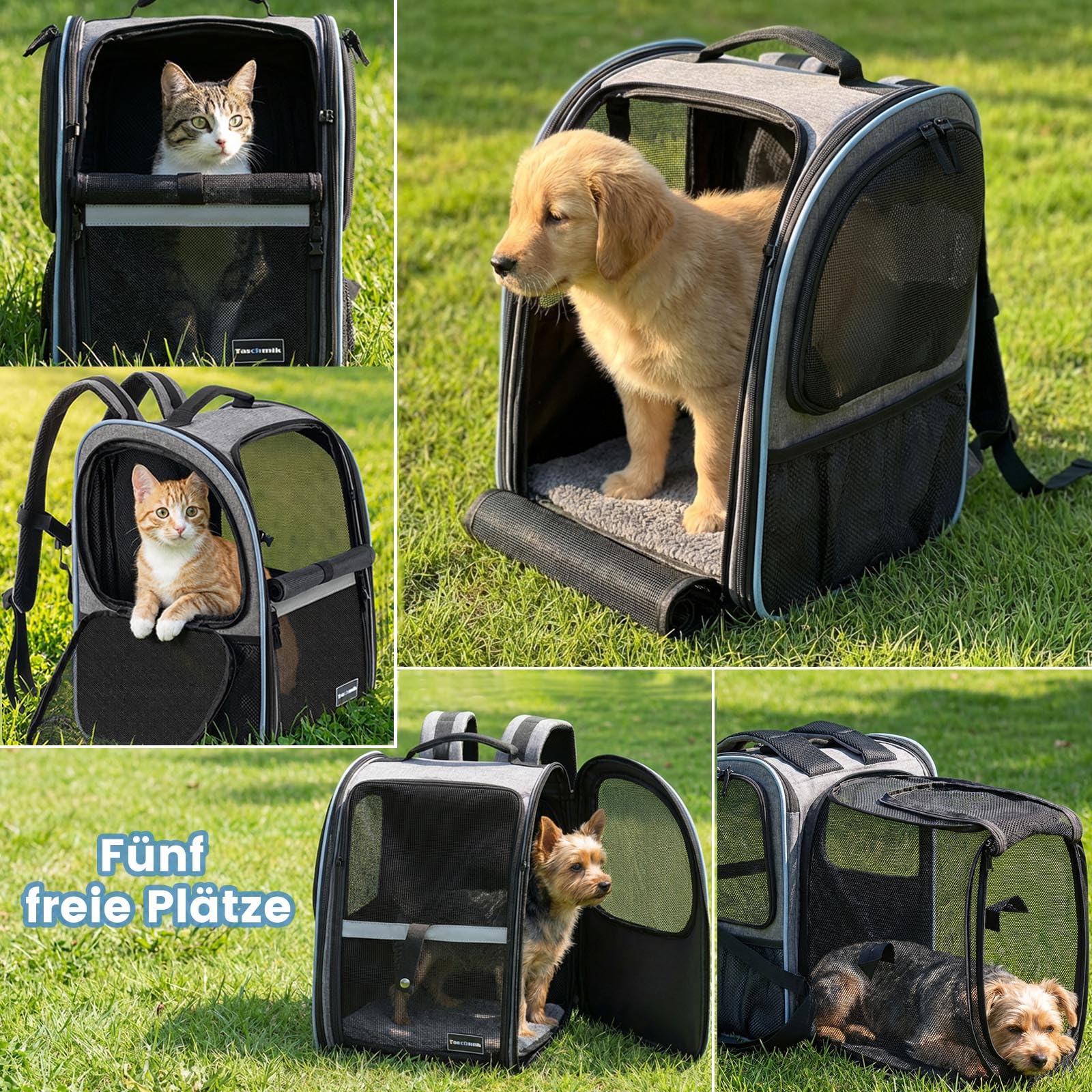 Katzenrucksack Hunderucksack für Katzen Hunde bis 6kg, Katzen Rucksack erweiterbar Hunde Rucksack Faltbare Haustier Rucksack, Grau