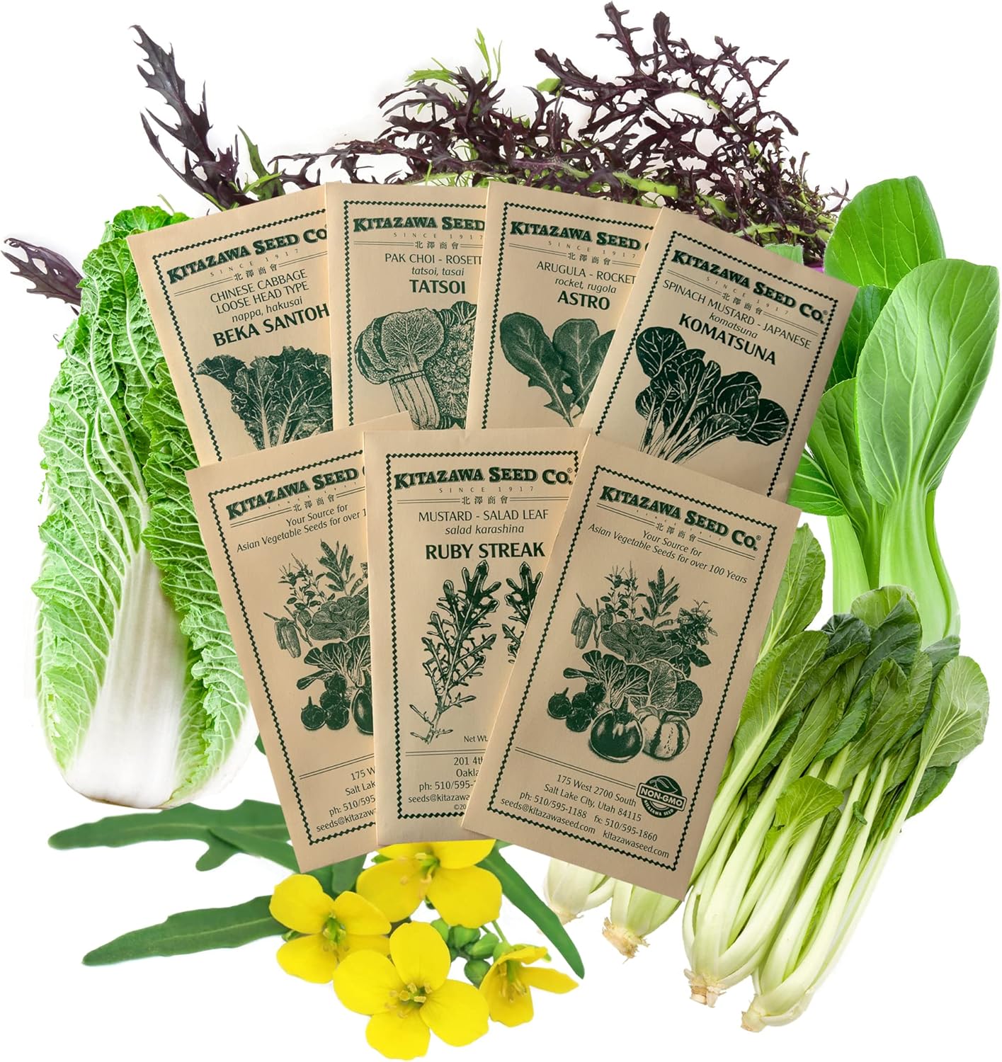 Asian Chef's Specialty Seed Assortment - Baby Leaf Garden Seed Collection - Baby Leaf Greens - Mustard, Arugula, Komatsuna, More