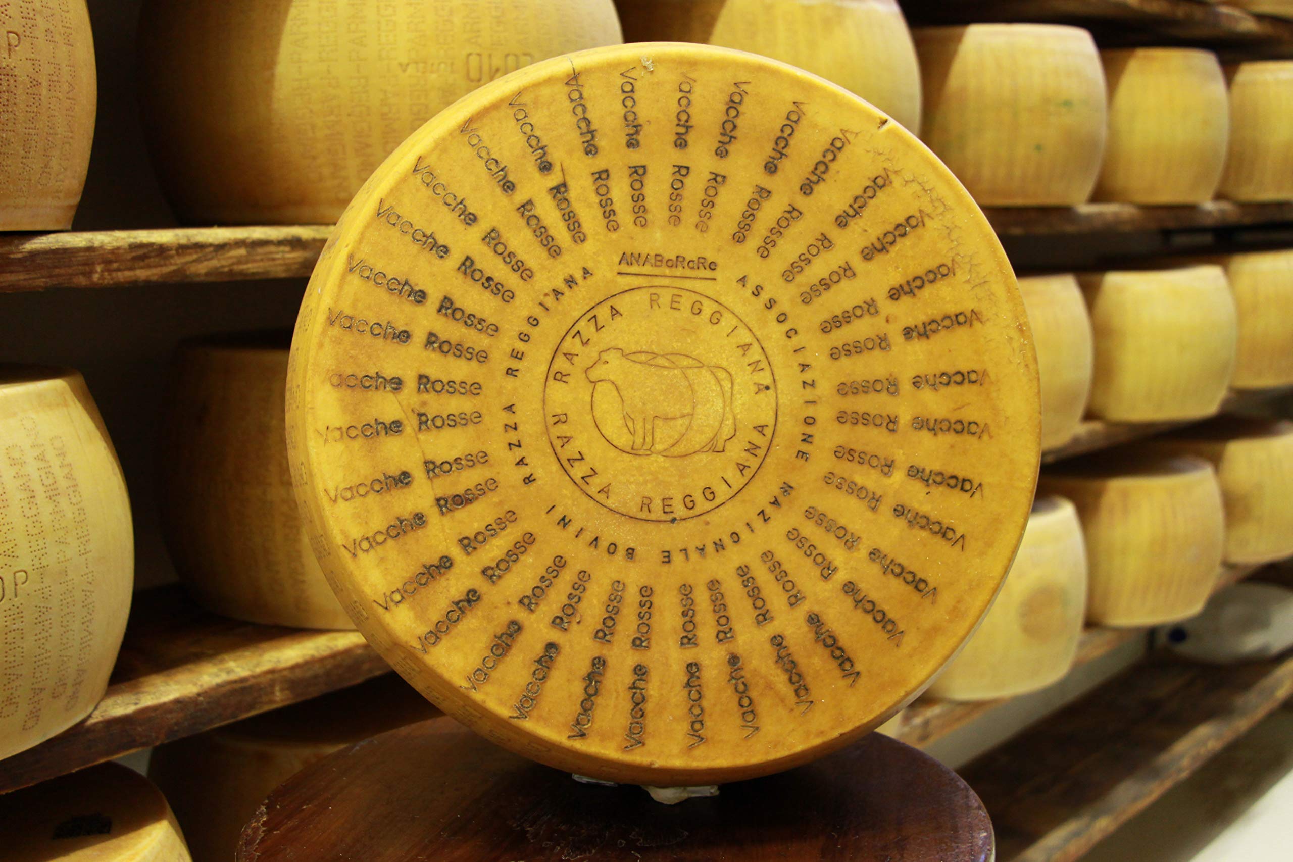 Consorzio Vacche Rosse - Parmigiano Reggiano 40 Monate Riserva - Halbrad - 17 kg