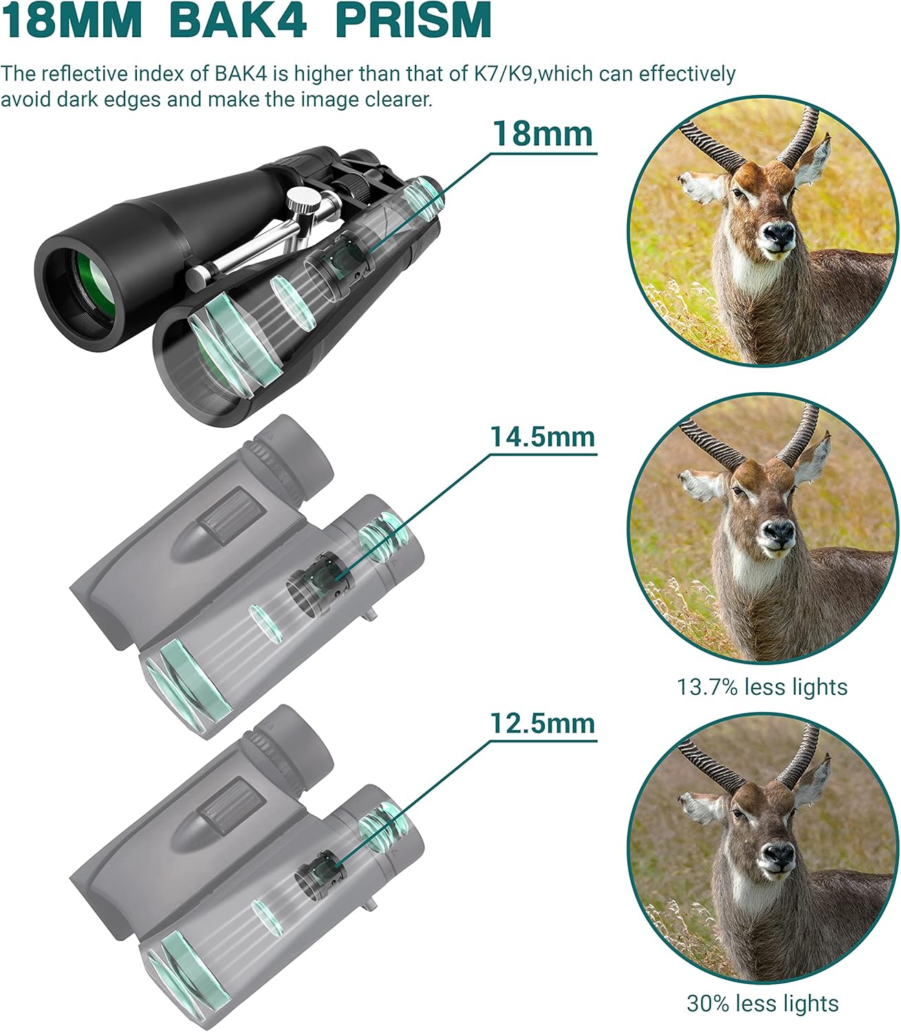 Binoculars with phone adapter and carrying case