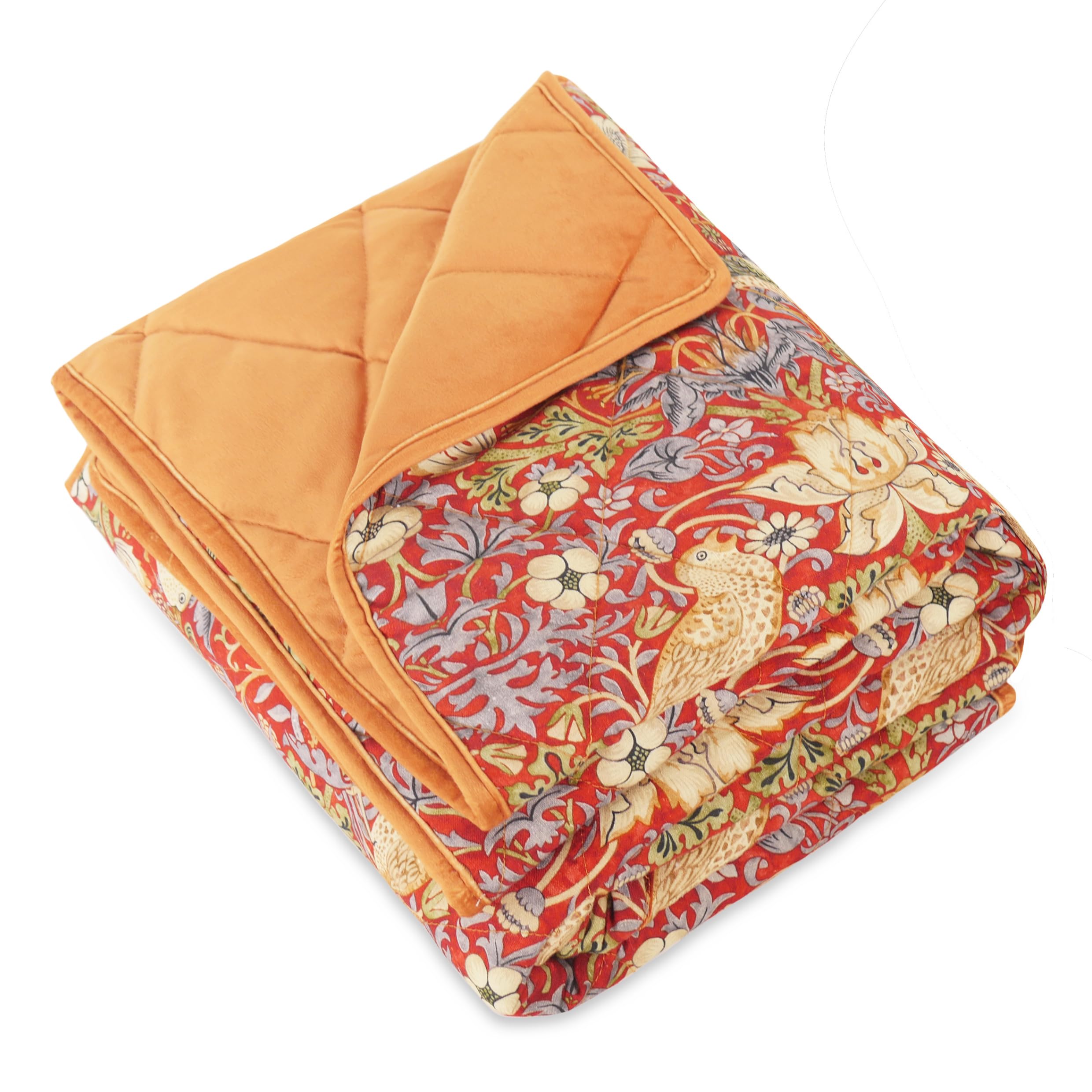 Morris And Co Strawberry Thief Print Pet Blanket - One 150Cm
