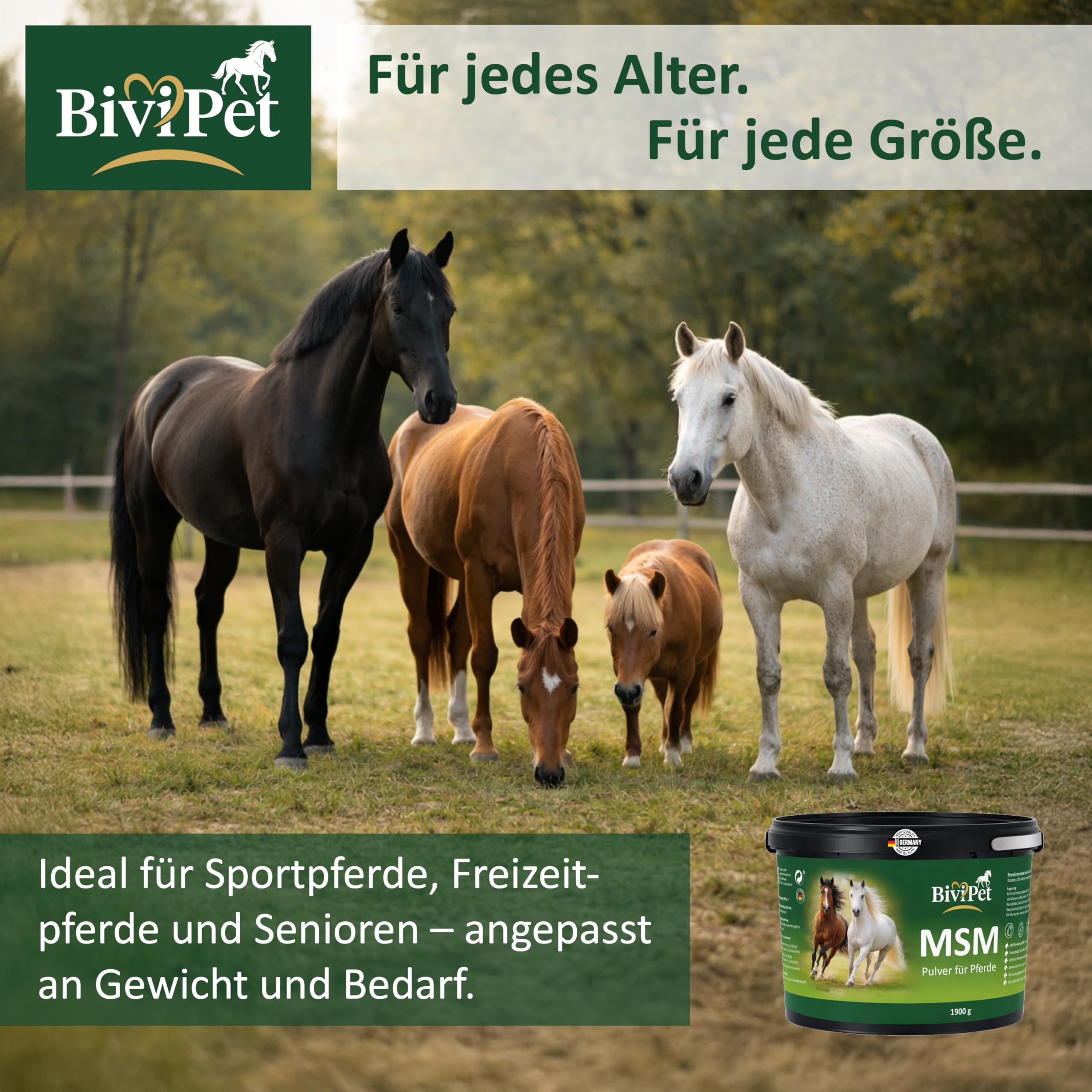 MSM Pulver für Pferde – 1,9 kg | 100% reines MSM ohne Zusätze | Für Gelenke, Beweglichkeit, Sehnen & Hufe | Eimer mit Henkel inkl. Dosierlöffel | Made in Germany