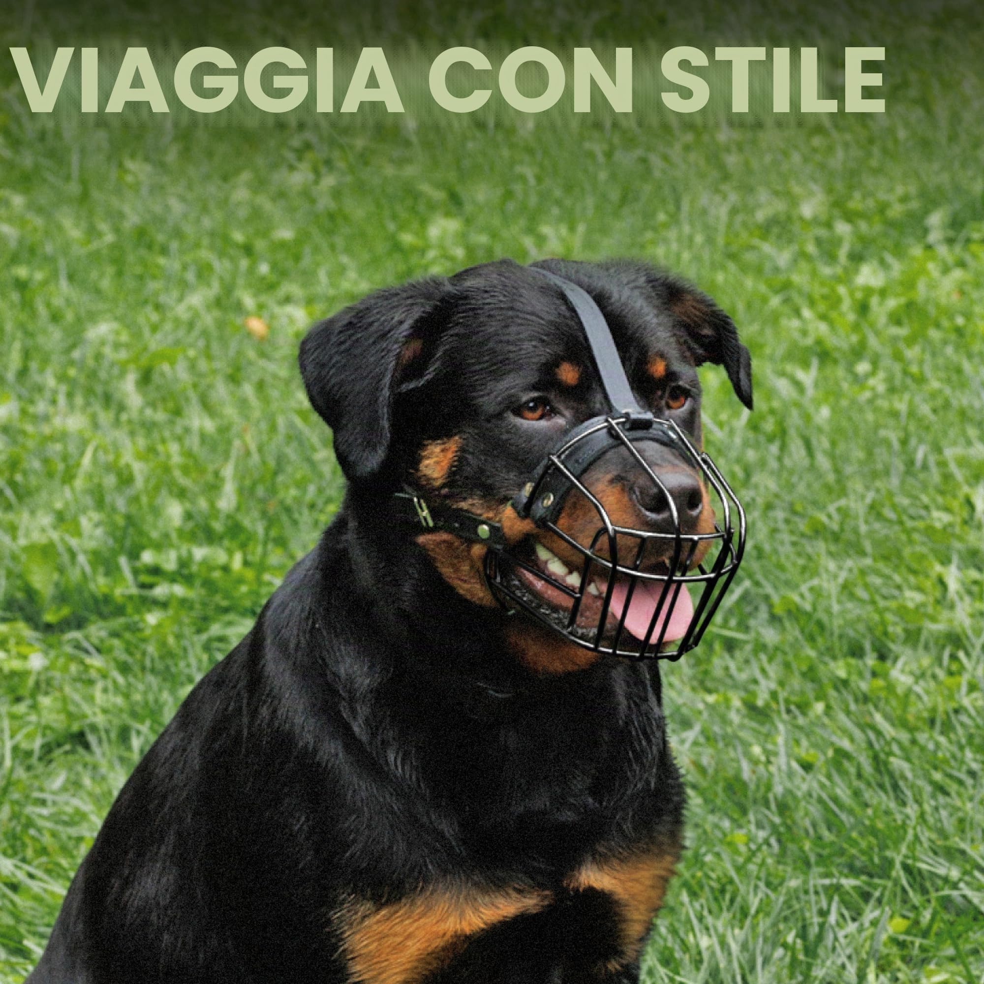 Rottweiler Dog Muzzle (nero)