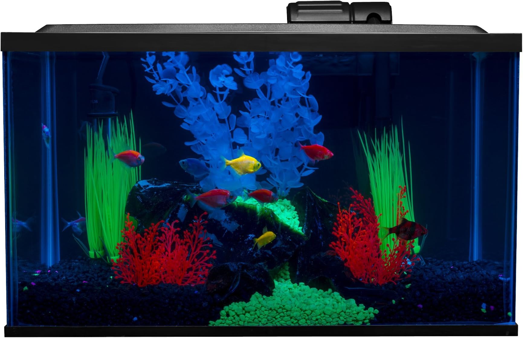 10 Gallon Aquarium Fish Tank Kits, Includes LED Lighting and Dรฉcor (Amazon Exclusive)