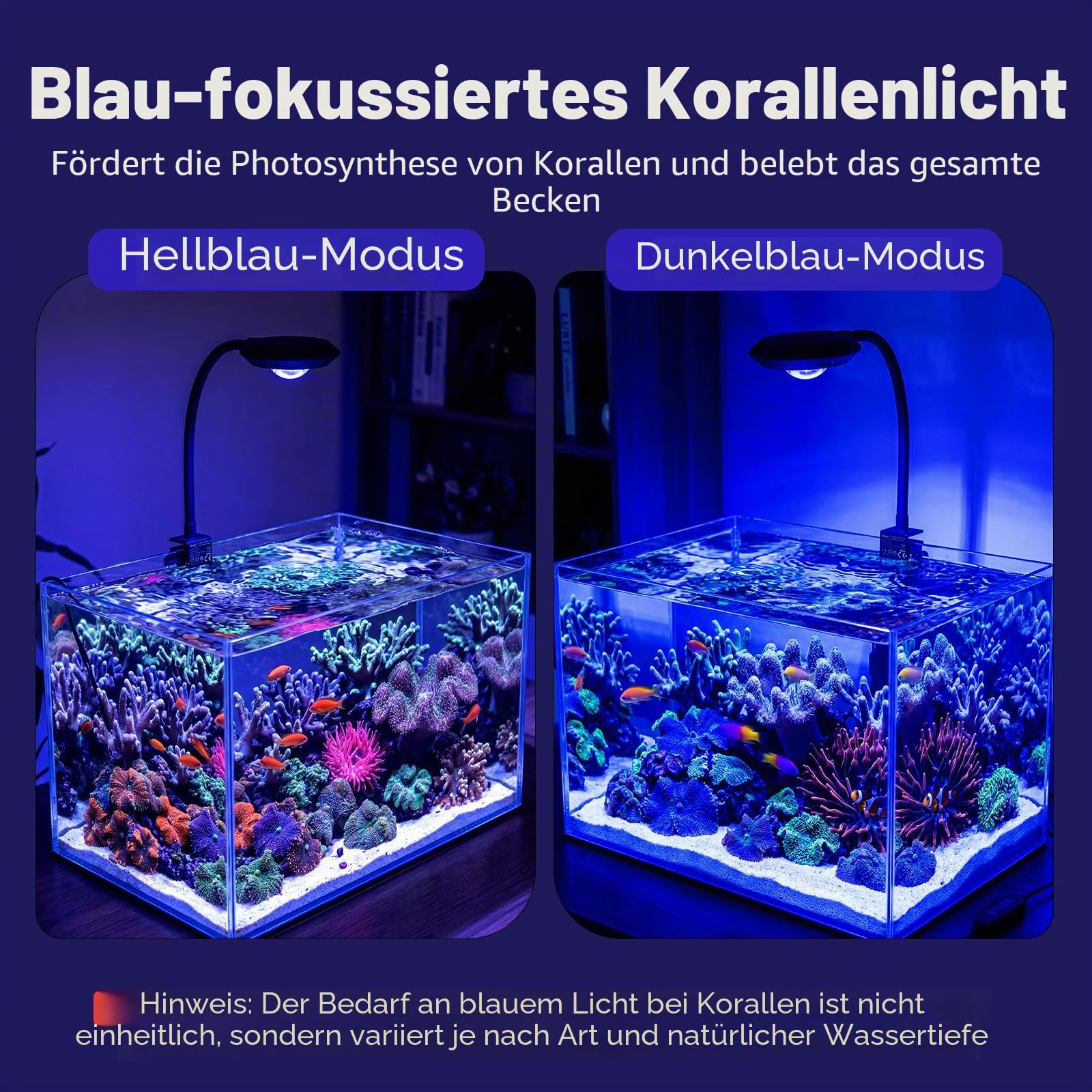 hygger Meerwasser Aquarium Beleuchtung, Clip On Meerwasser Led Beleuchtung 20W, 4 Modi, 3 Timer, um 360° verstellbarem Schwanenhals, Vollspektrum-Aquarienleuchte für Reef Coral SPS/LPS Fischaquarium