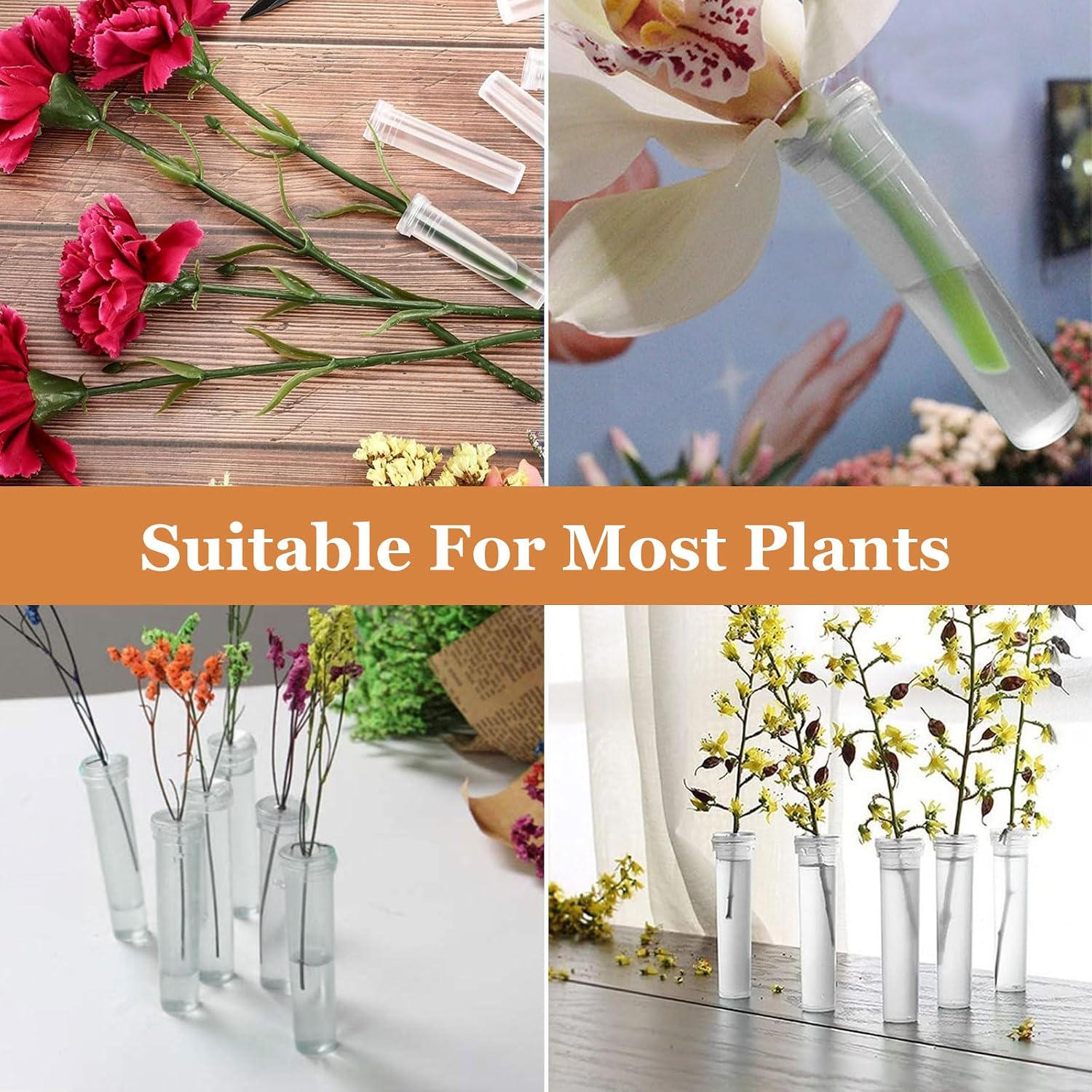 200 PCS Floral Water Tubes, Flower Water Tubes Clear Water Picks for Flowers, Flower Vials, Milkweed Cuttings Vials, Clear Plastic Floral Tubes for Flower Arrangements, White-L8