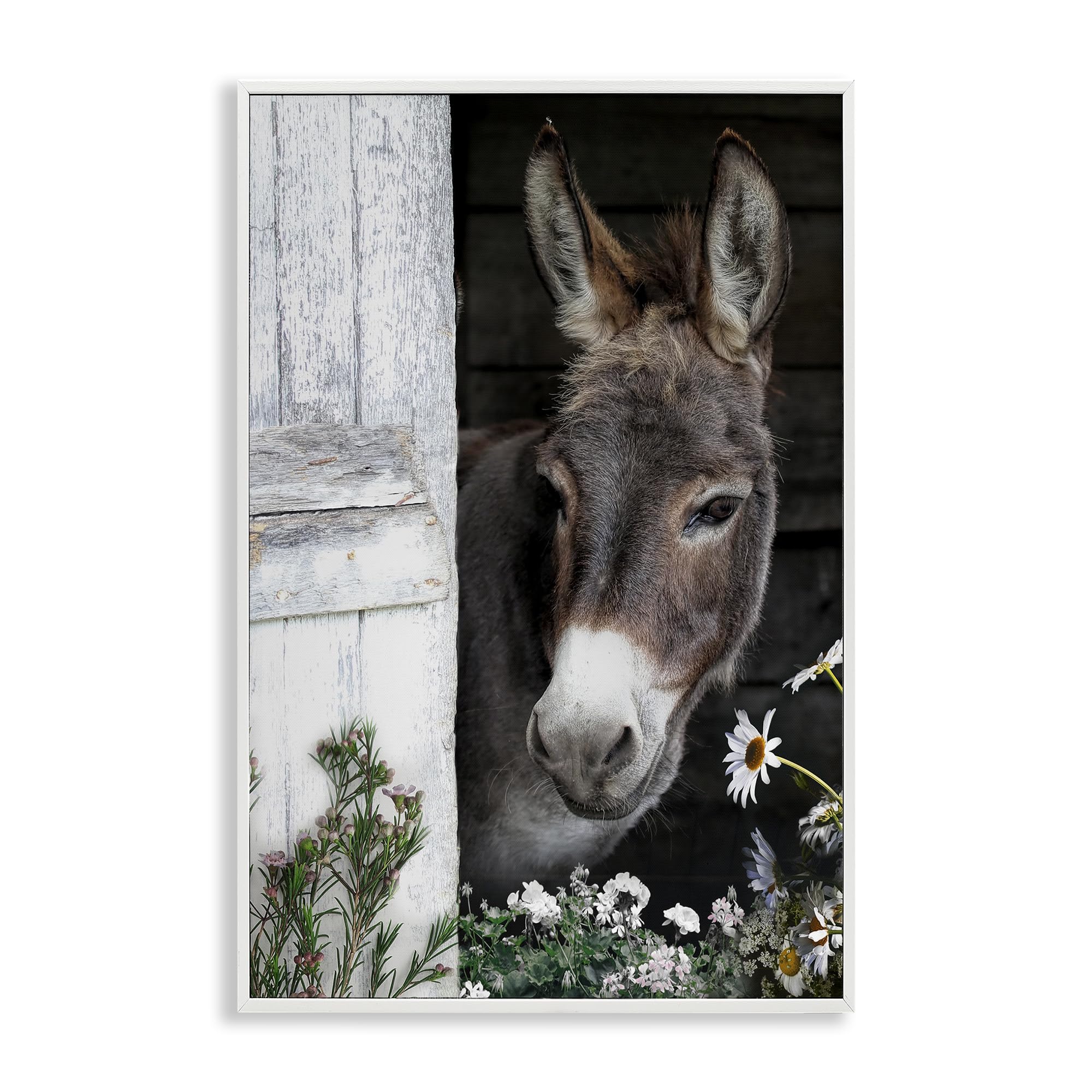 Gentle Donkey Barn Peering Farmhouse, 16 x 24 Inch Framed Giclée Print