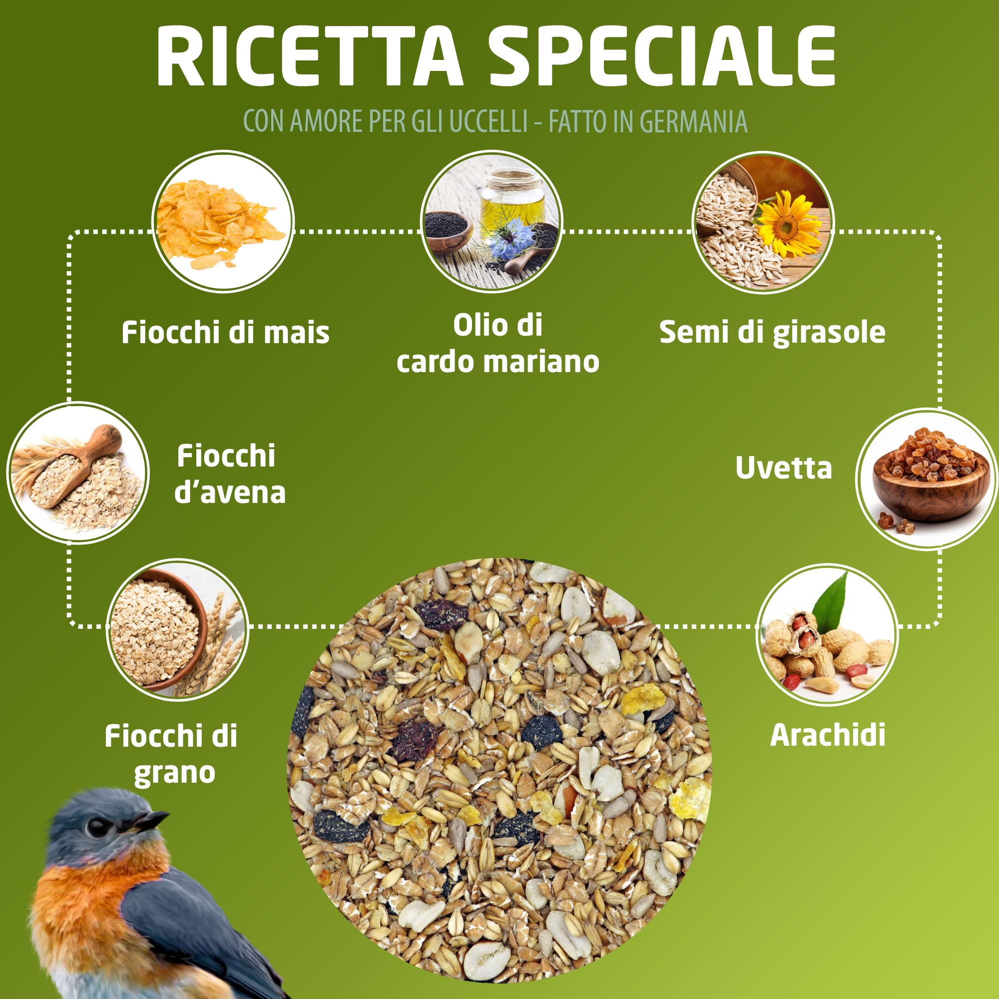 Eggersmann volaris TerrassenMix 25 kg – mangime per uccelli selvatici senza guscio, miscela di grani per un'alimentazione senza gusci tutto l'anno