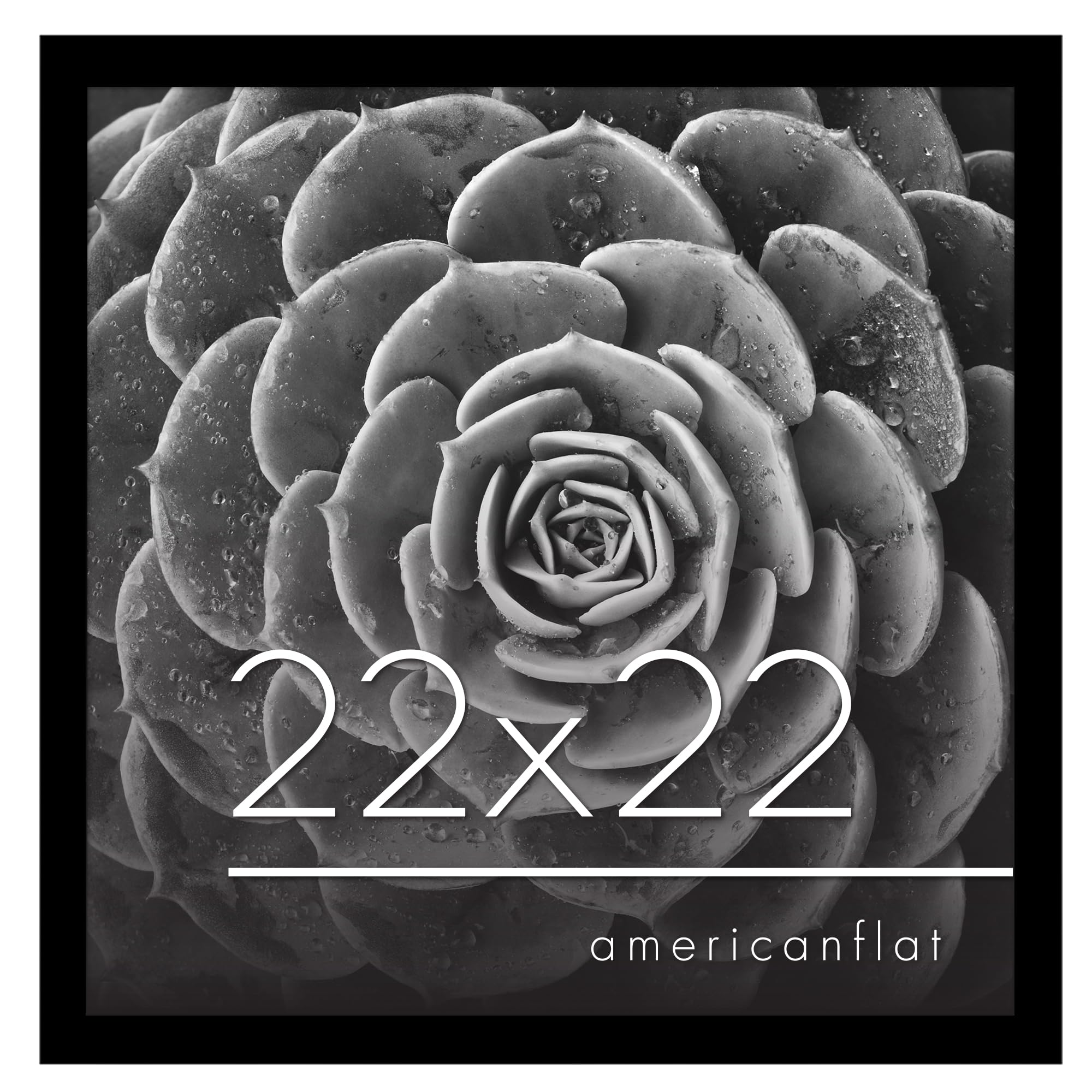 Americanflat 22x22 Picture Frame in Black - Engineered Wood Frame with Polished Plexiglass - Square Picture Frame with Included Hanging Hardware for Wall Display