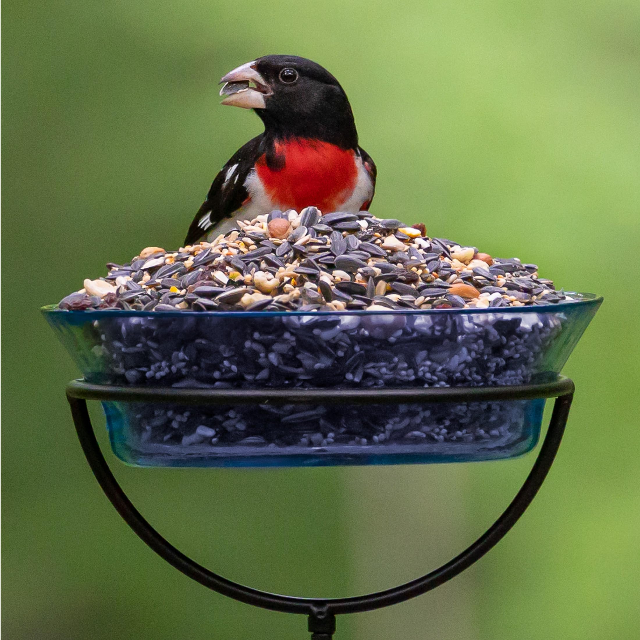 Audubon Park Extreme Variety - Semillas de pájaros silvestres para comederos exteriores, bolsa de 15 libras
