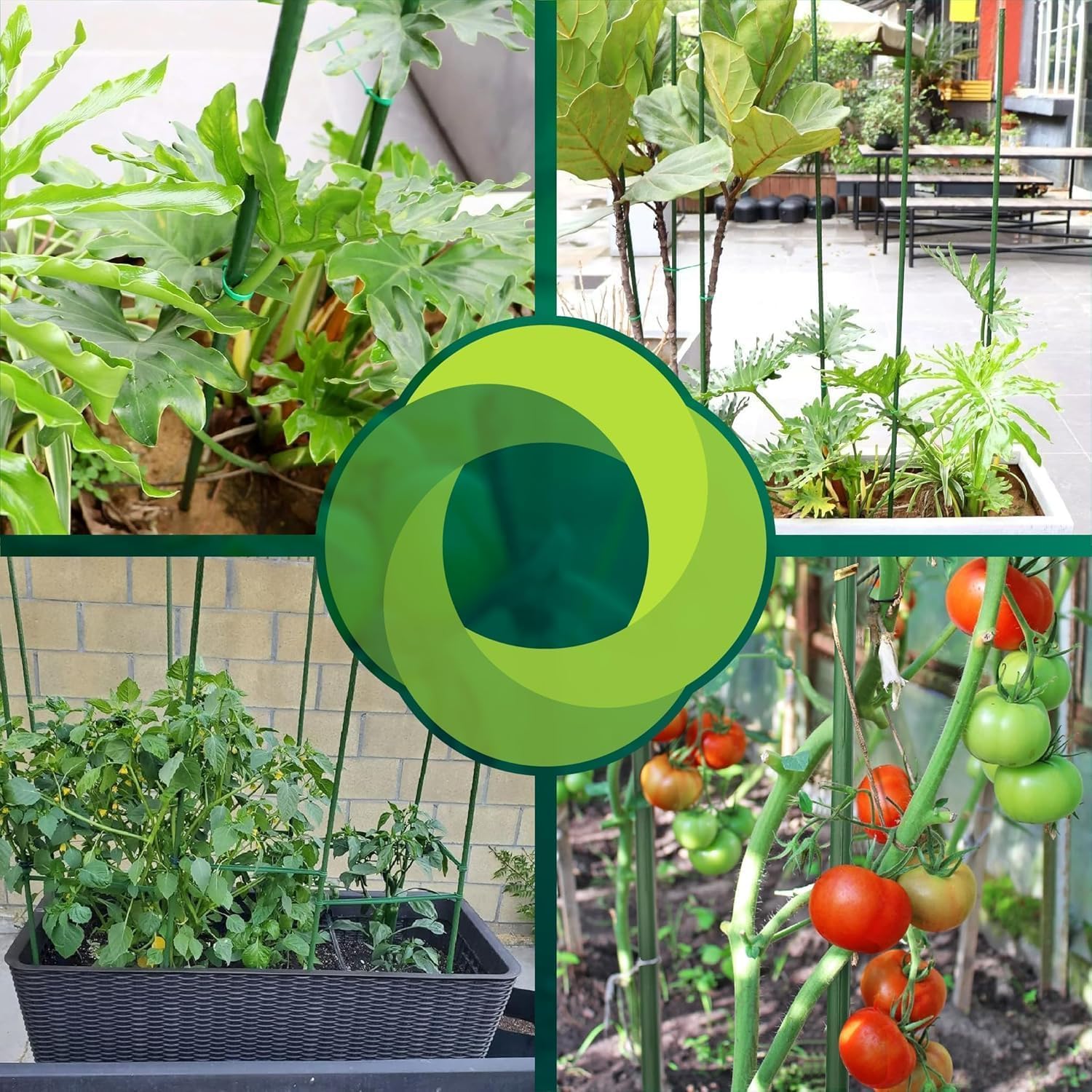 CONTROL GARDEN Lot de 30 tuteurs en acier plastifié pour plantes haute Ø 8-10 mm | croissance des plantes | Support de cultures adapté pour l'intérieur et l'extérieur (150 cm)