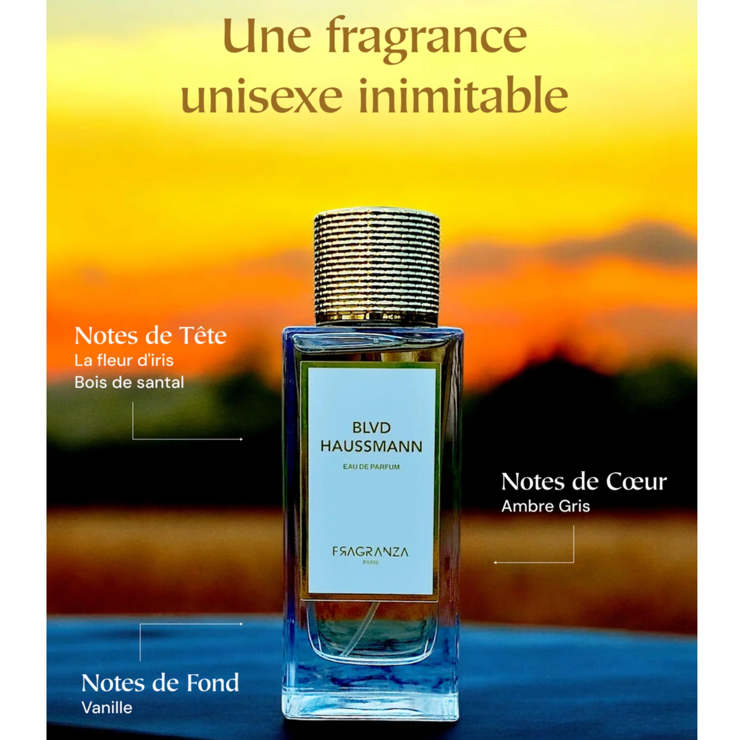 BLVD HAUSSMANN - UNISEXE PERFUM WODA 100ML - Blvd Haussmann FRAGRANZA Paris - Pomysł na prezent dla mężczyzn i kobiet - długotrwały zapach - MADE IN FRANCE