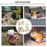 Ver la foto 7