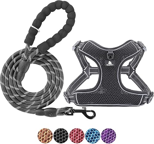 BAAPET Arnés transpirable para perro para cachorros pequeños, medianos y malla de aire con correa reflectante de 6 pies para perro (M - 6 pies x