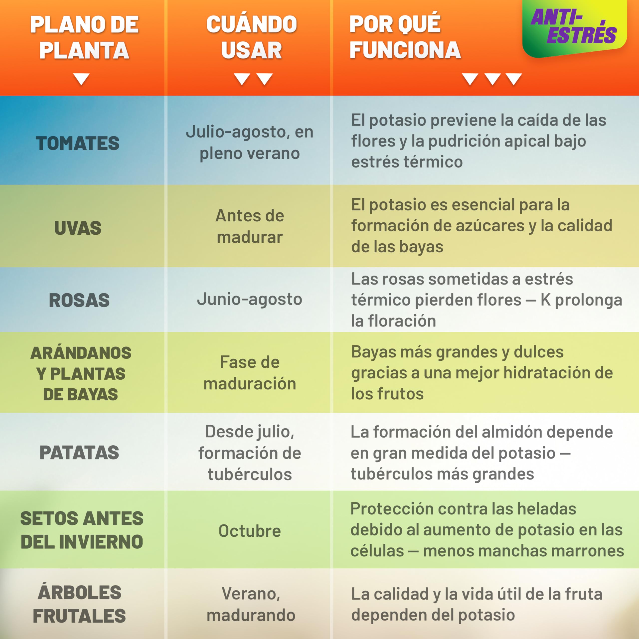 GRÜNTEK Abono Césped Otoño Invierno Verano Anti-Estrés NPK 15-5-24 – Fertilizante Césped Larga Duración 3 Meses, Protección Calor Sequía Heladas – Abono Universal Jardín Tomates Fresas Rosales 5 kg