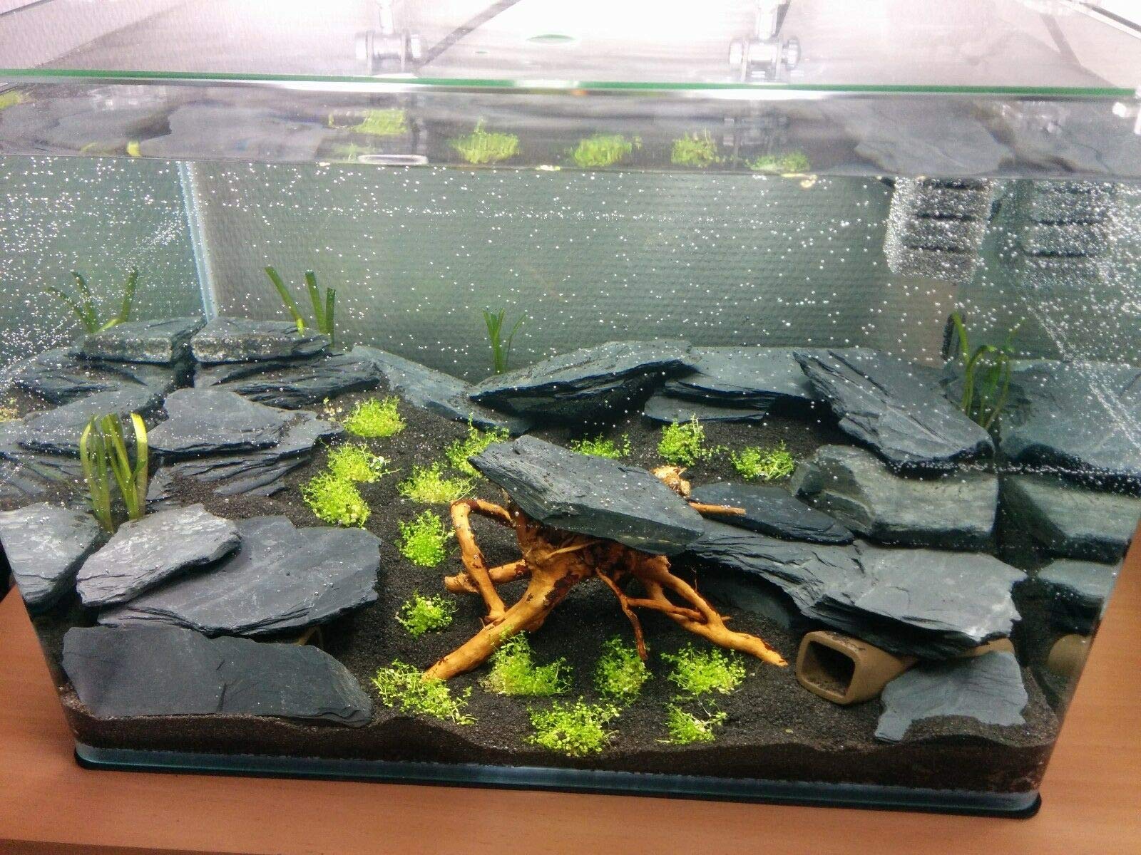 View 8