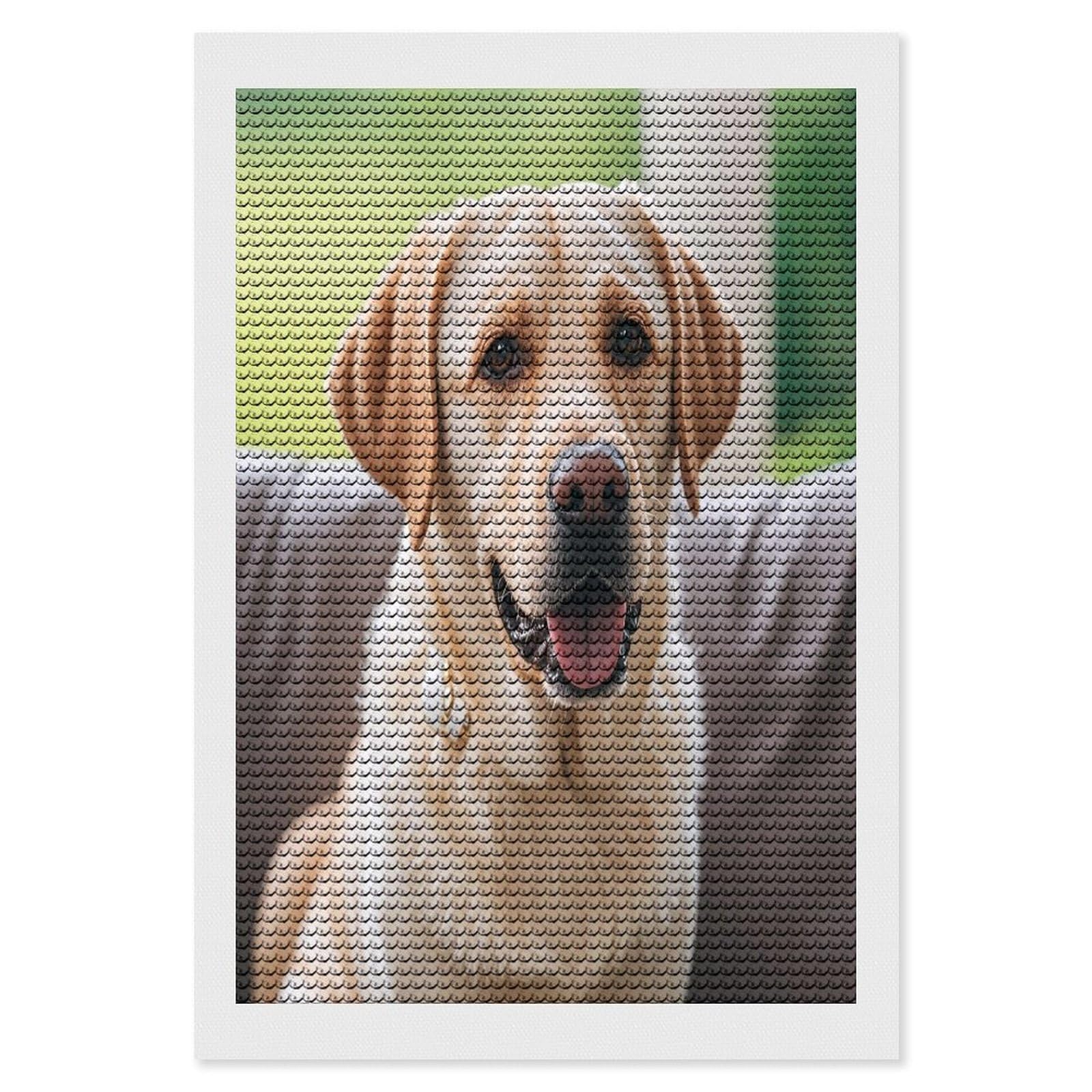 FekiLoot Cute Labrador Dog Diamond Painting Kits for Beginners DIY Diamond Art Kits for Adults Full Drill Round Diamond Dot Gem Art Painting Fun DIY Crafts for Home Kitchen Wall Decor Gift 8"x12"