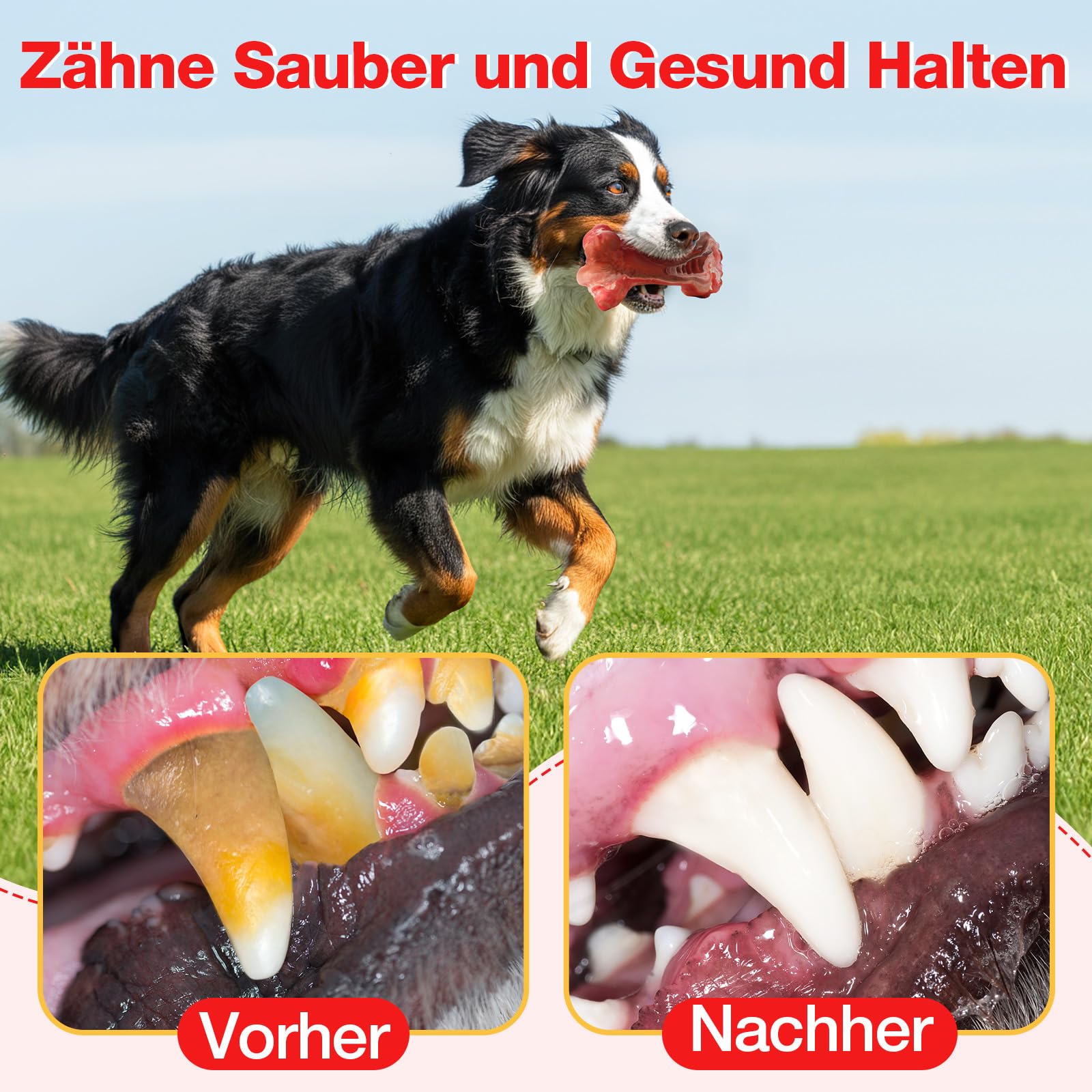RUXAN Giocattoli da masticare per cani, giocattoli a forma di osso che alleviano lo stress, ghetti interattivi per cuccioli, cani piccoli, medi e grandi