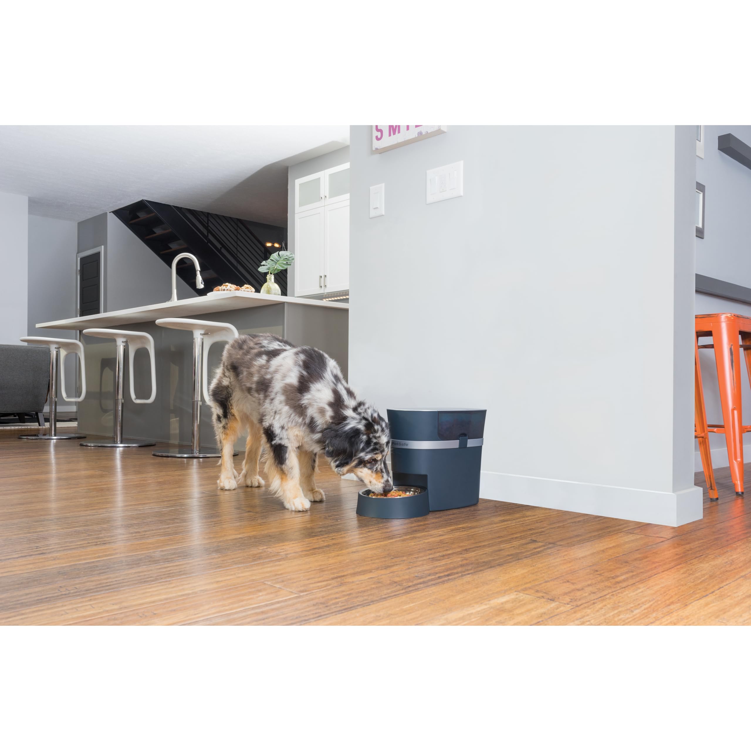 PetSafe Smart Feed Comedero Automático Wi-Fi | Programable por App, Control de Raciones, Cuenco de Acero Inoxidable