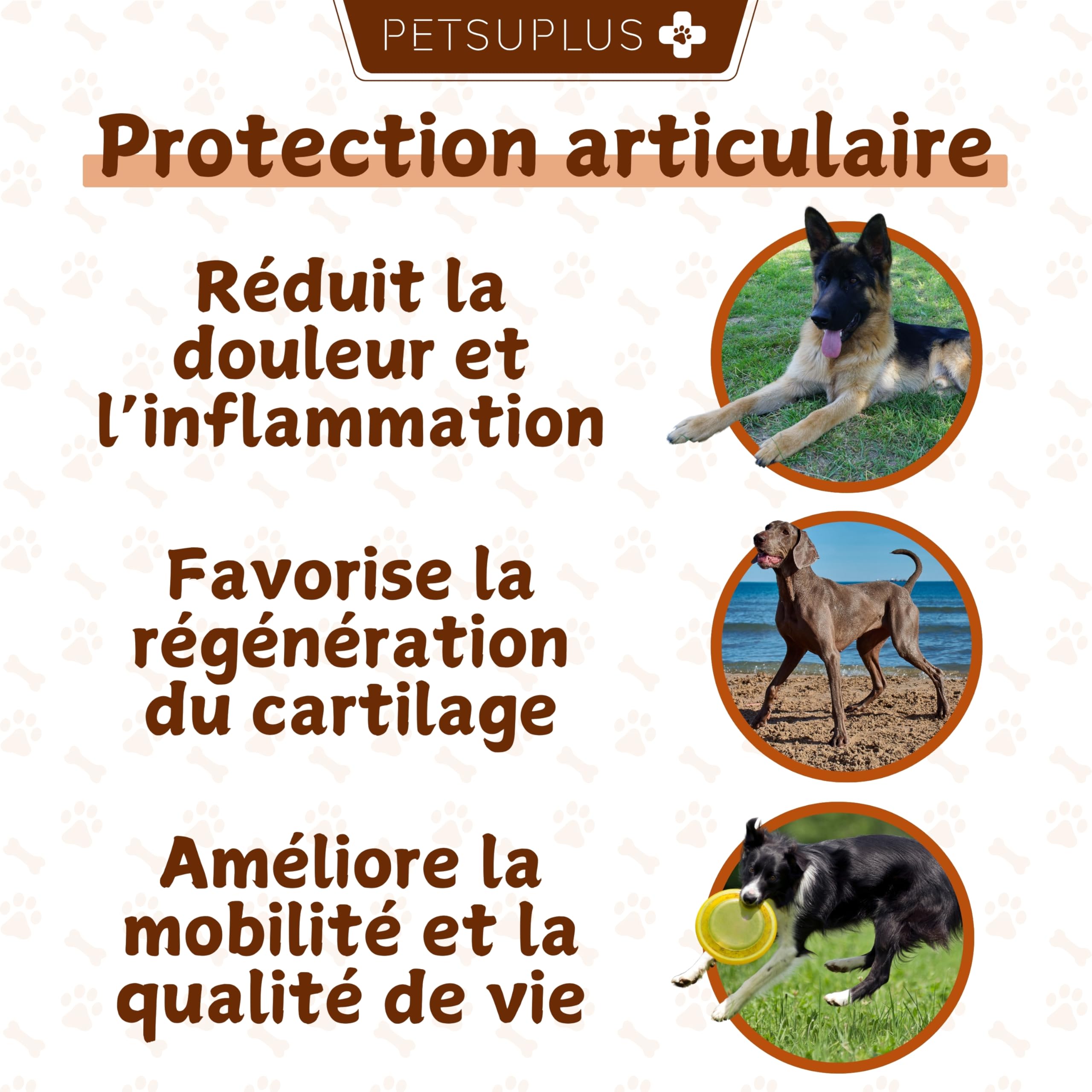Complement Alimentaire Chien - Traitement Articulation Chiens - Moule Verte Chien, Chondroïtine, Glucosamine, MSM, Collagène, Acide Hyaluronique - Anti Arthrose - 120 Comprimés