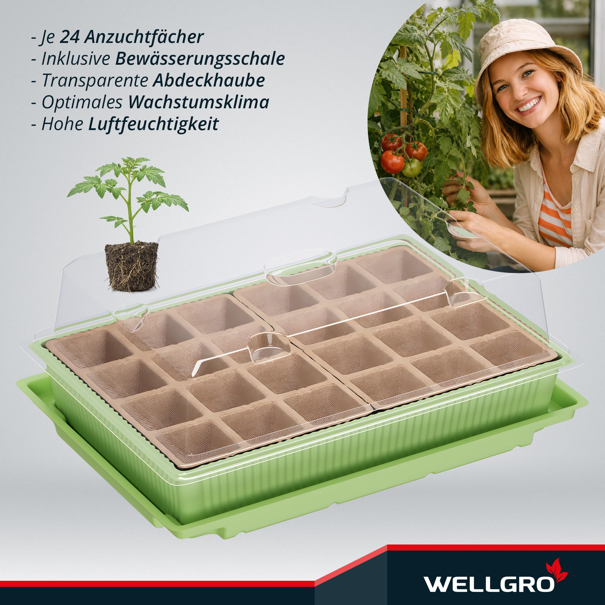WELLGRO Mini szklarnia na 24 rośliny, ok. 27 x 19 x 10 cm (dł. x szer. x wys.), zielona/przezroczysta, tworzywo sztuczne/celuloza, ilość do wyboru, liczba sztuk: 2 sztuki