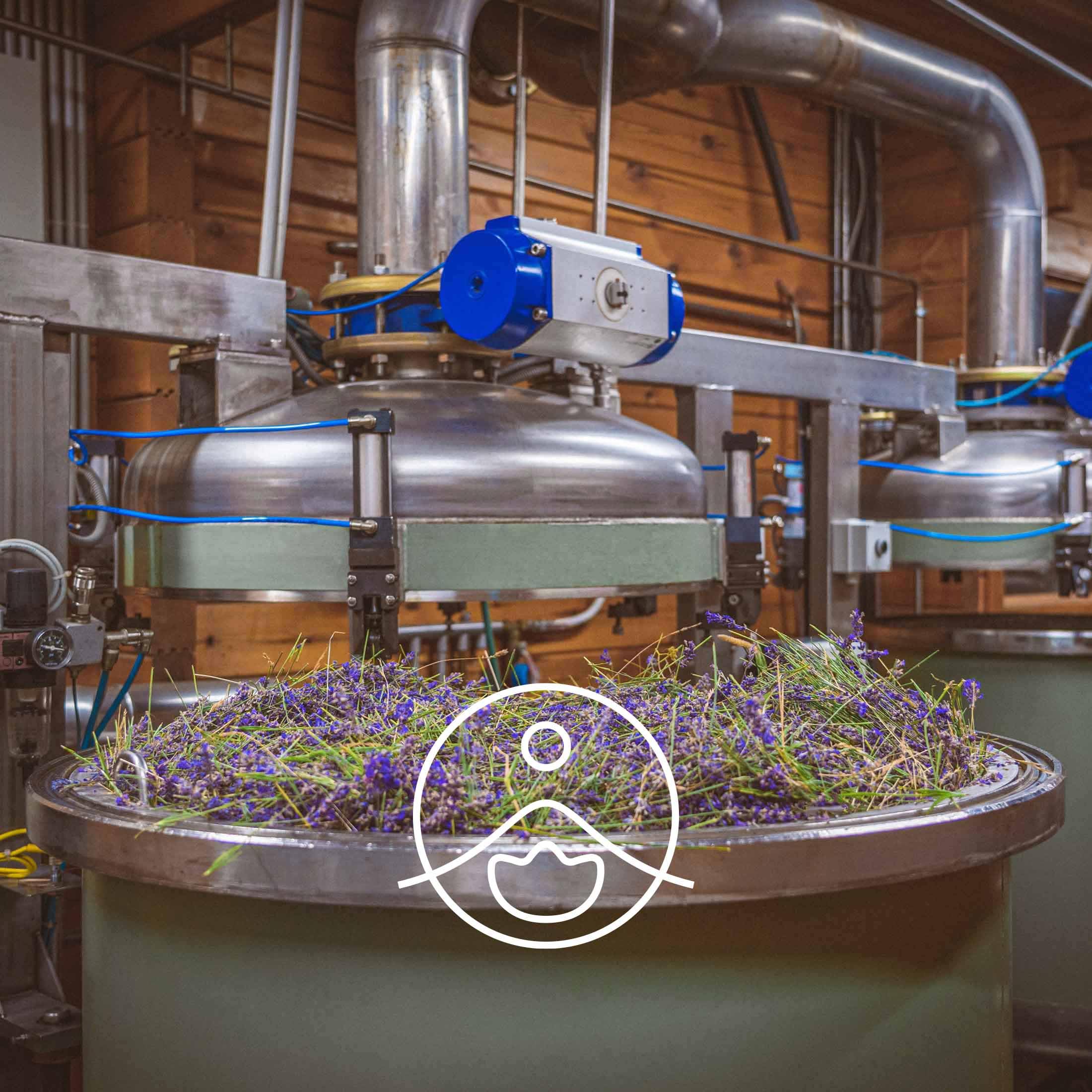 FLORIHANA Ätherisches Öl, feines, wildes Bio-Lavendel, 100 % rein und natürlich, 30 g (≈ 34,2 ml), hergestellt in Frankreich